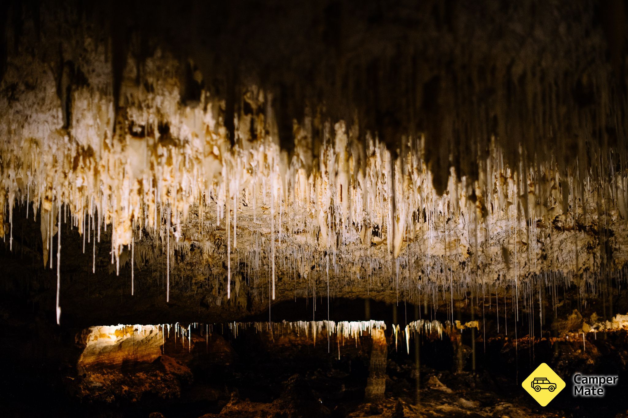 Excursie cu ghid la Peștera Jewel - Image 3