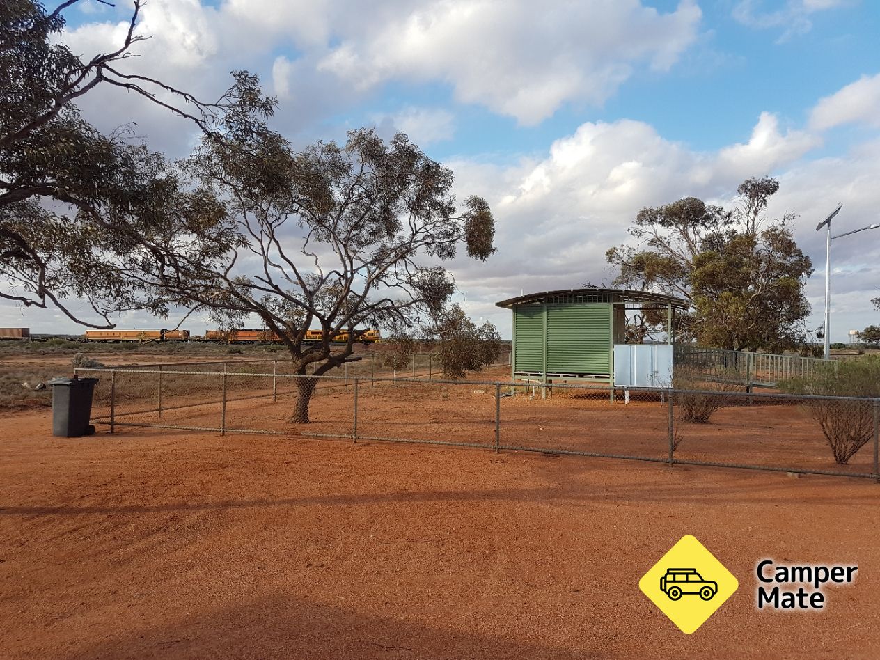 Kingoonya Camp