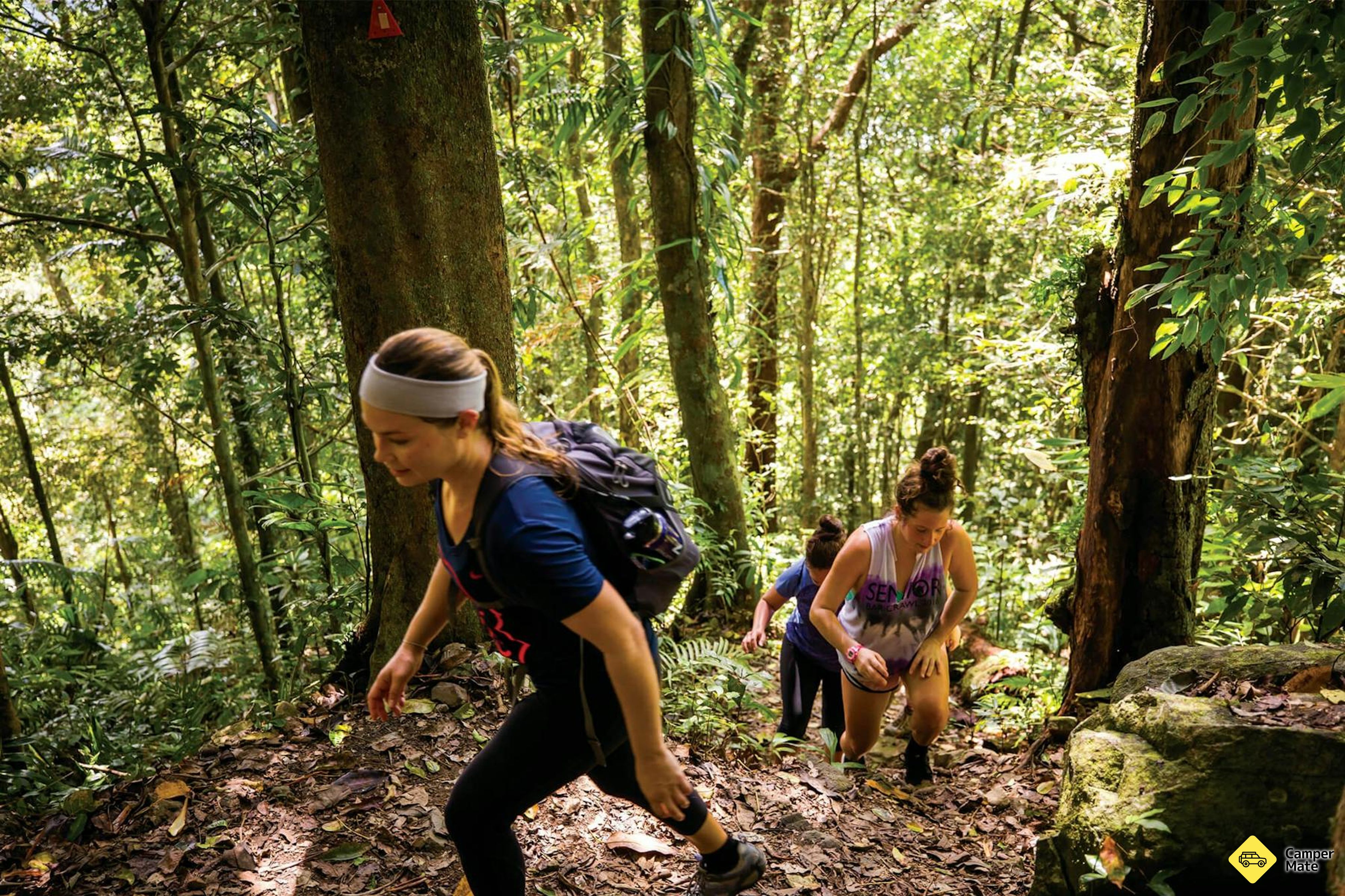 Manjal Jimalji (Devils Thumb) Trail