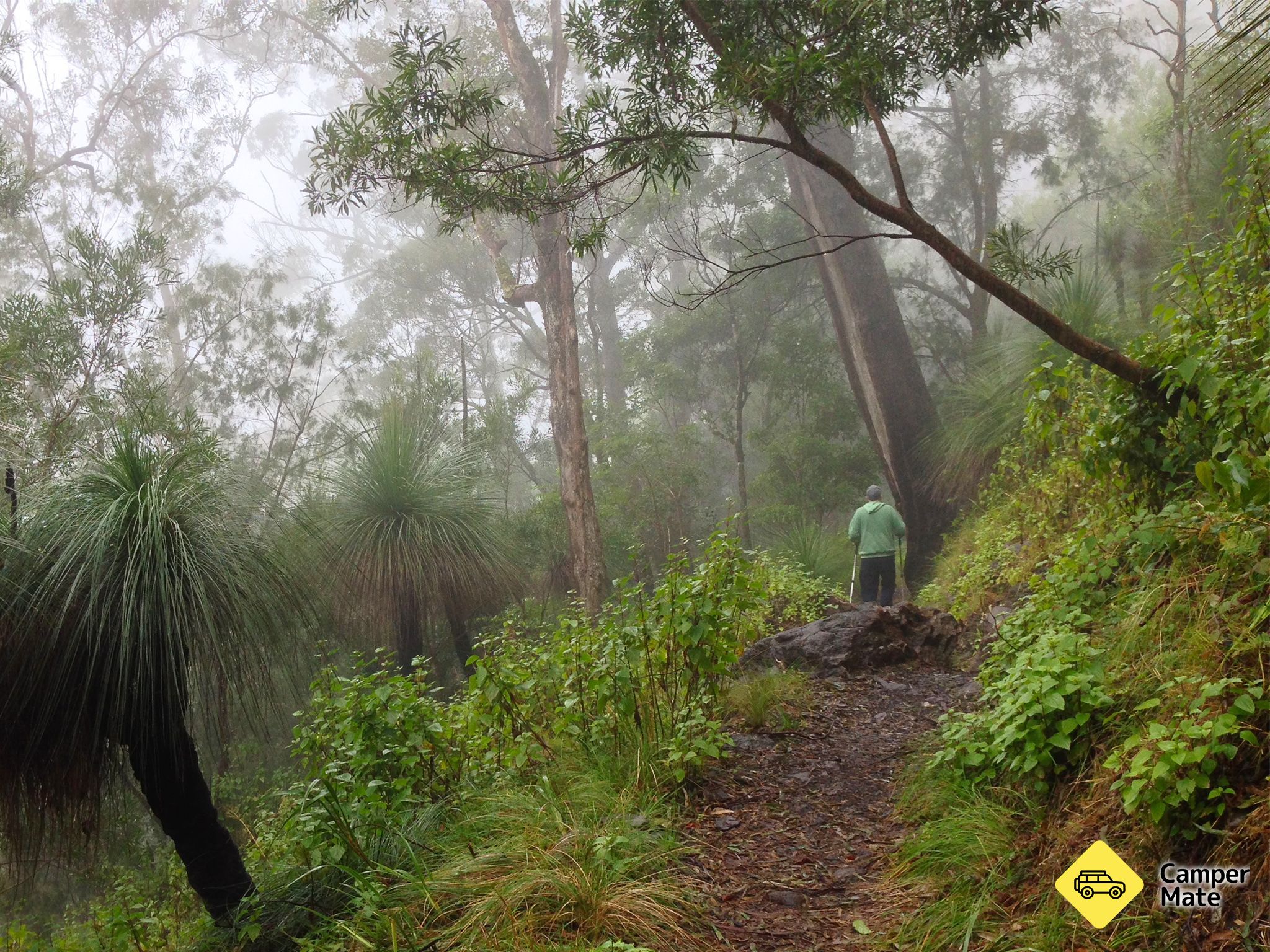 Der Mount Mitchell Track - Image 2