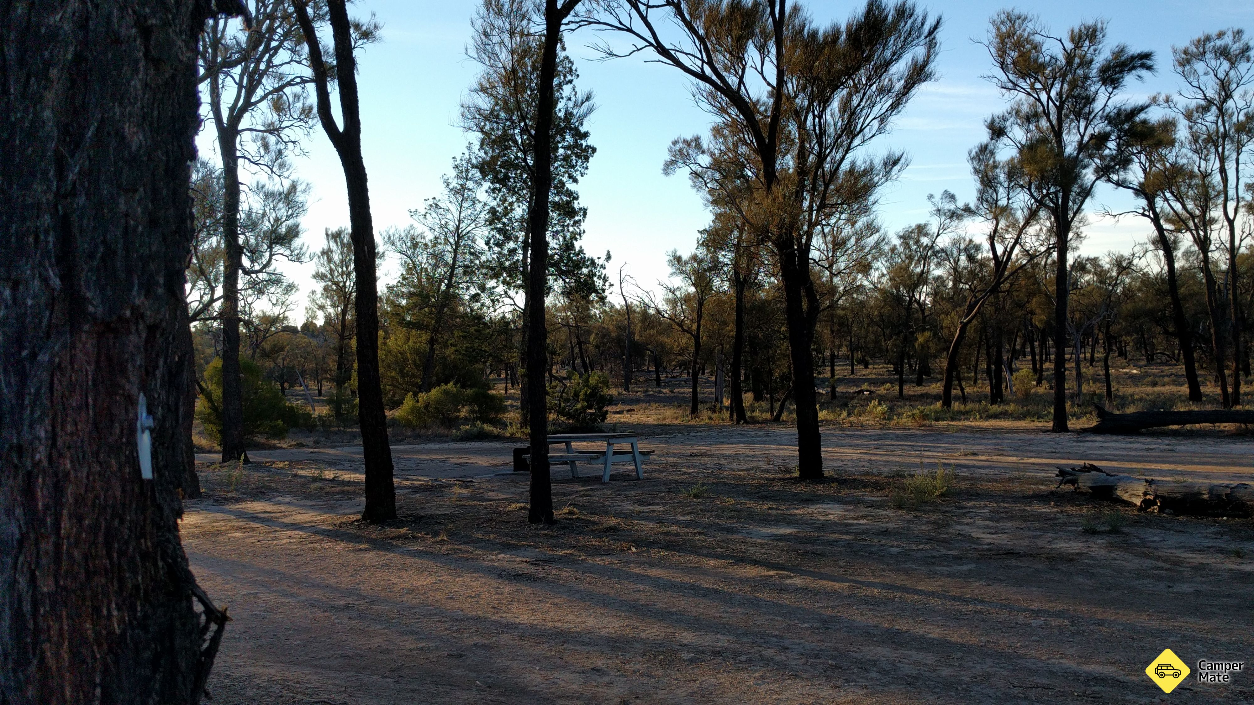 Casuarina Campground, Wyperfeld National Park