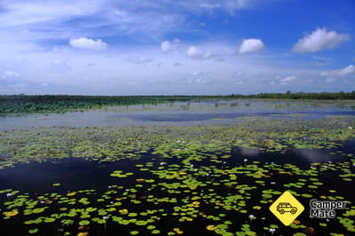 Mamukala Wetlands Boardwalk