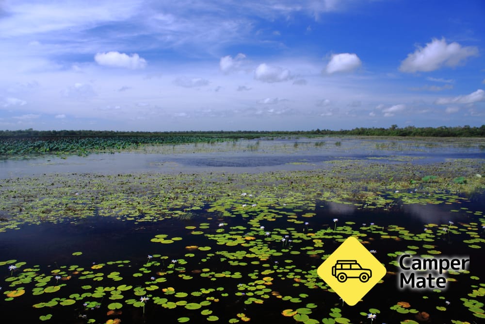 Mamukala Wetlands Boardwalk