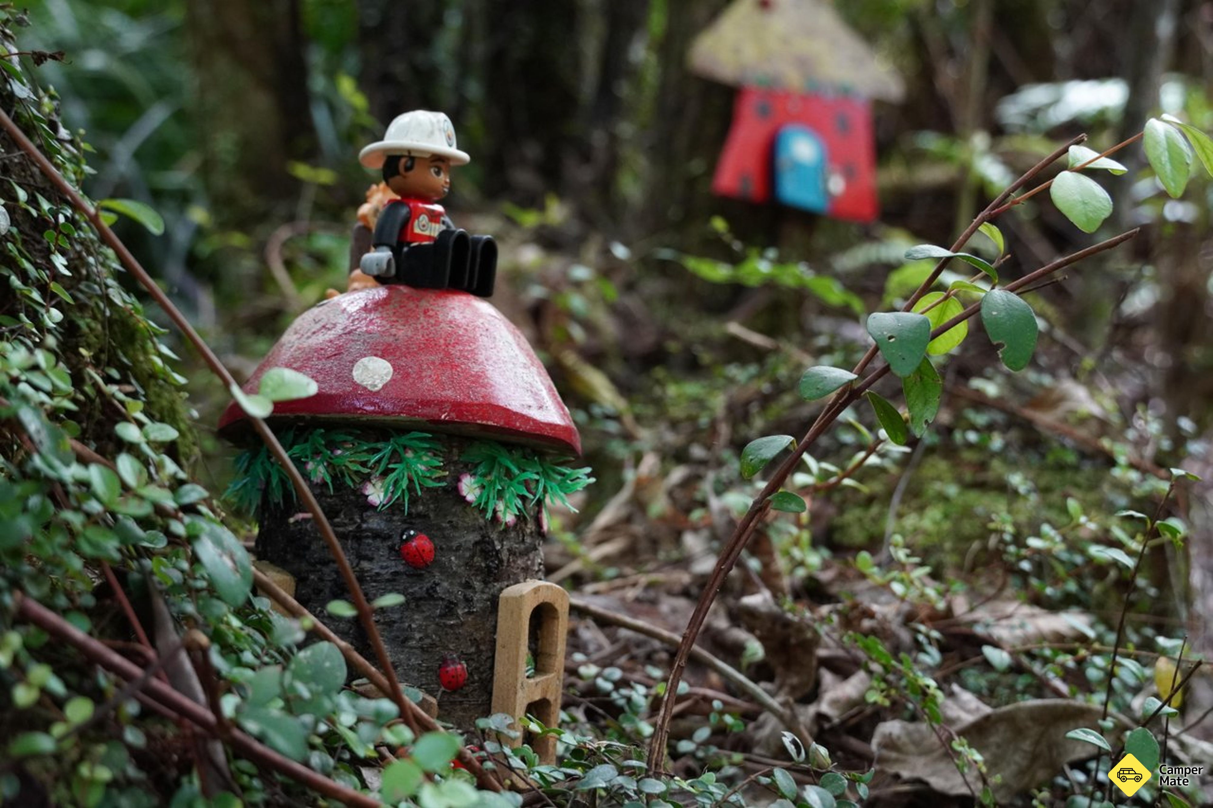 Lake Brunner Fairy Forest - Image 2