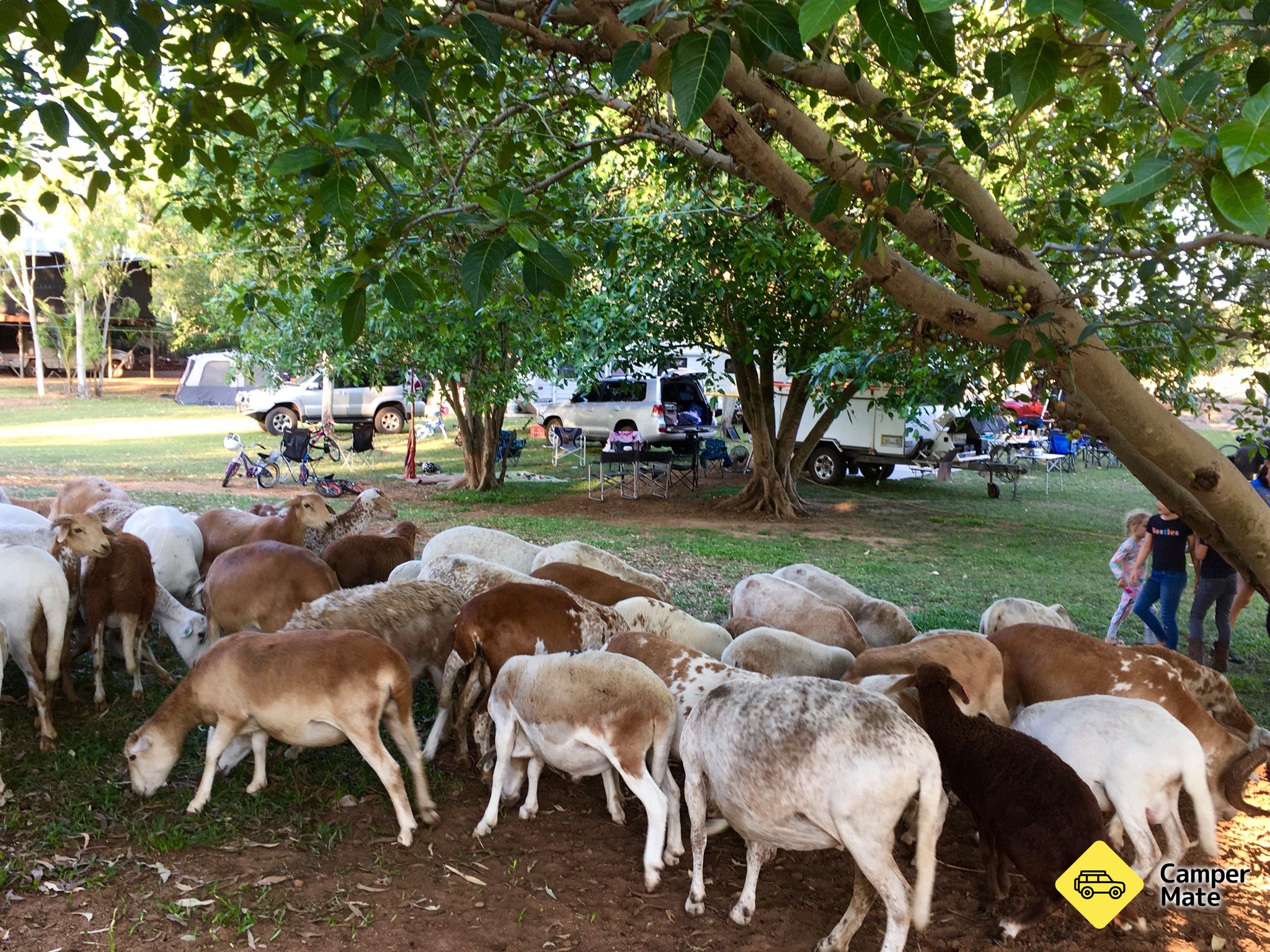 Daly River Wildlife & Adventure Lodge - Image 3