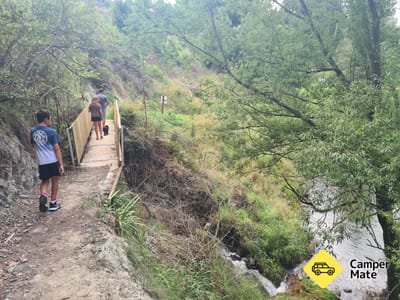 Paengaroa Scenic Reserve Walk