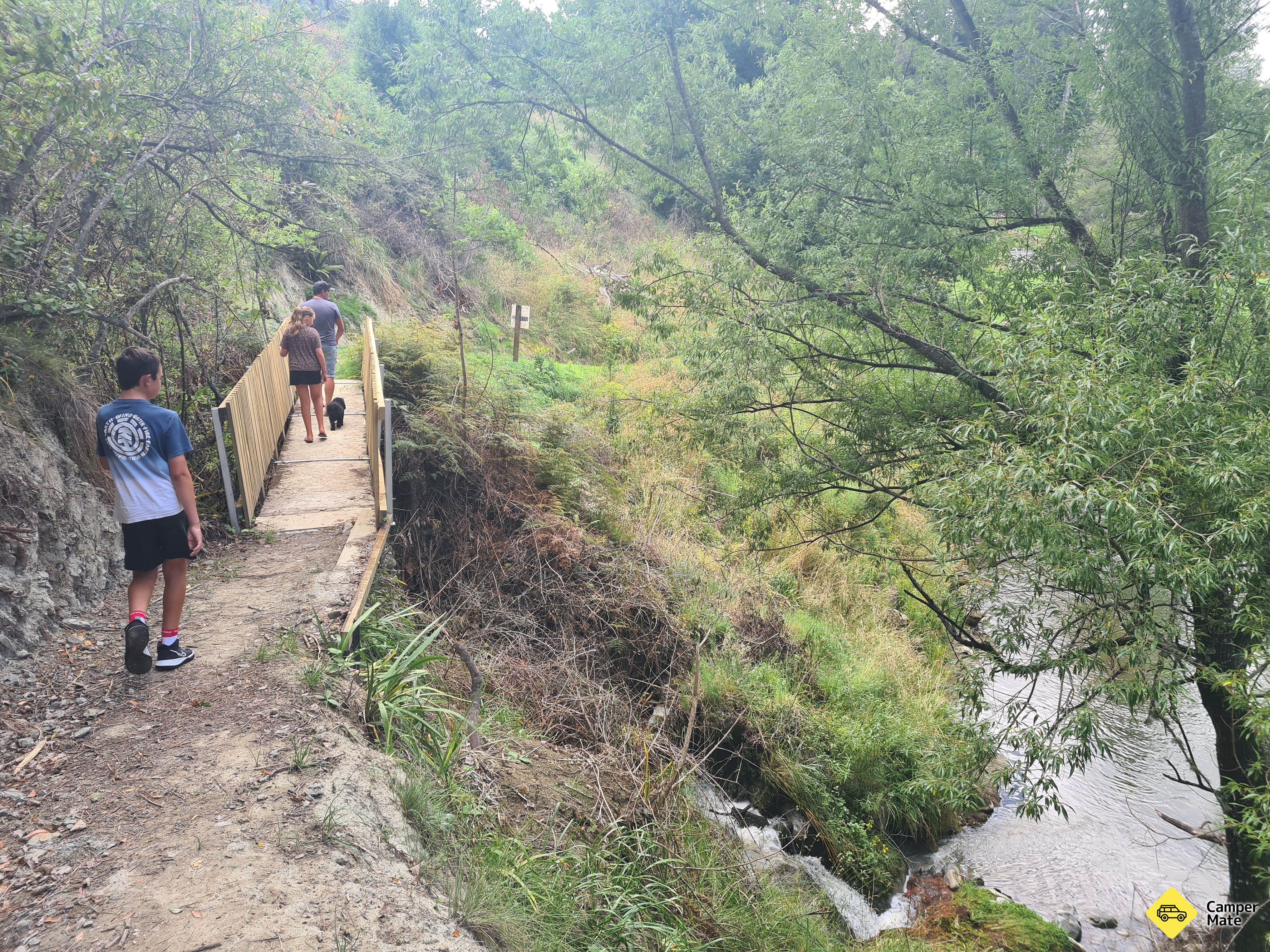 Paengaroa Scenic Reserve Walk