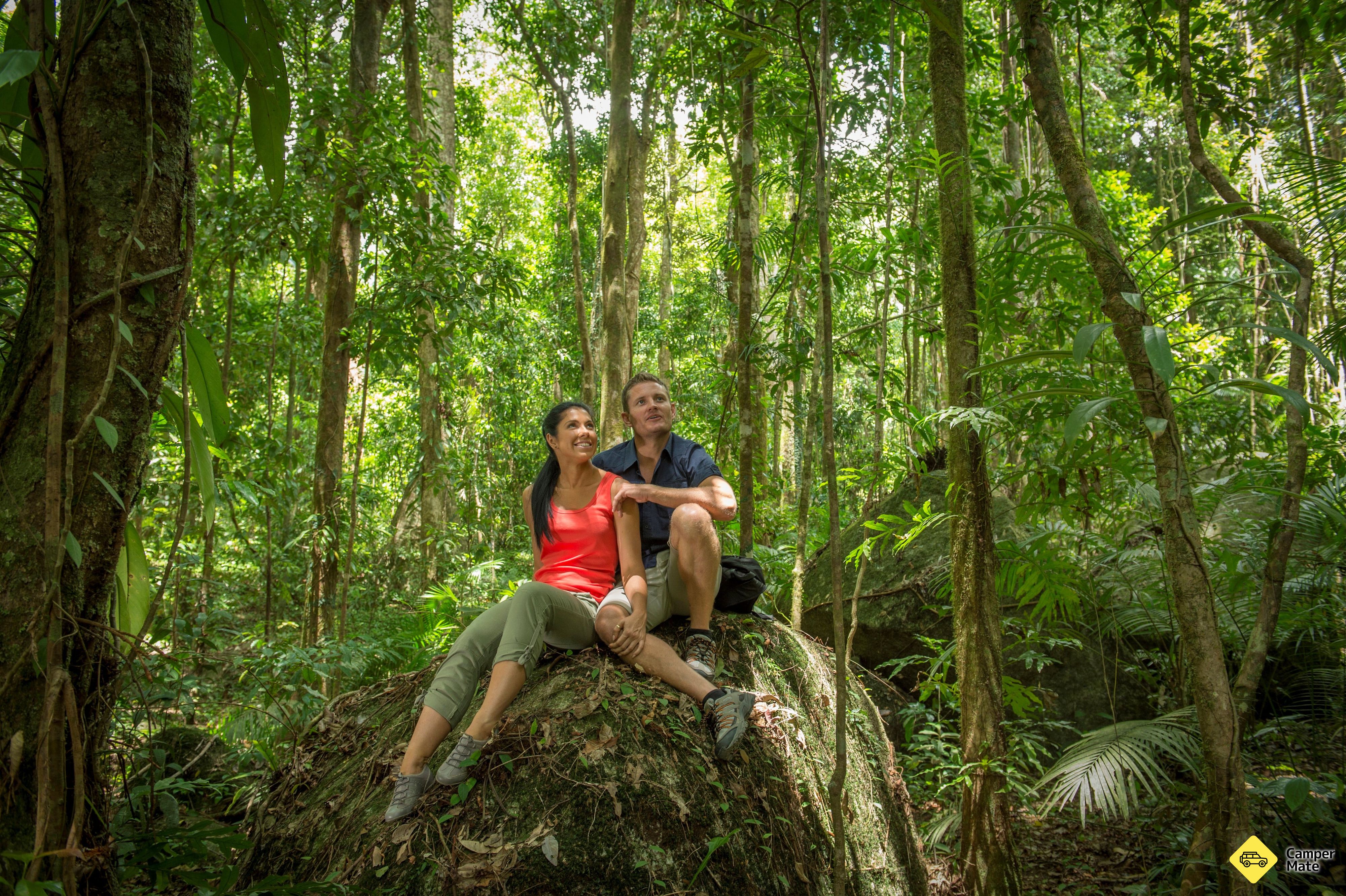 מרכז Mossman Gorge - Image 3