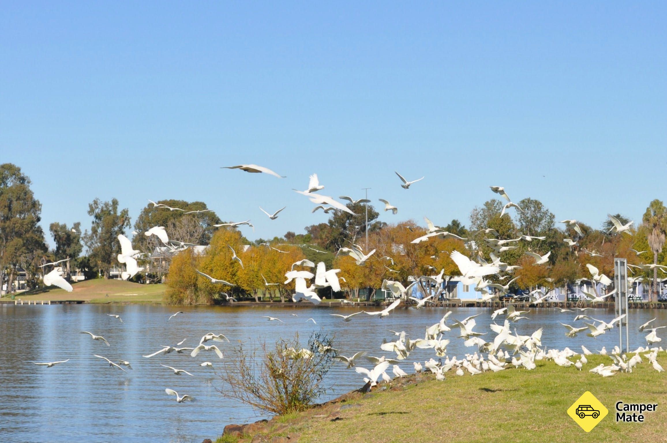 Jezioro Mulwala - Image 2