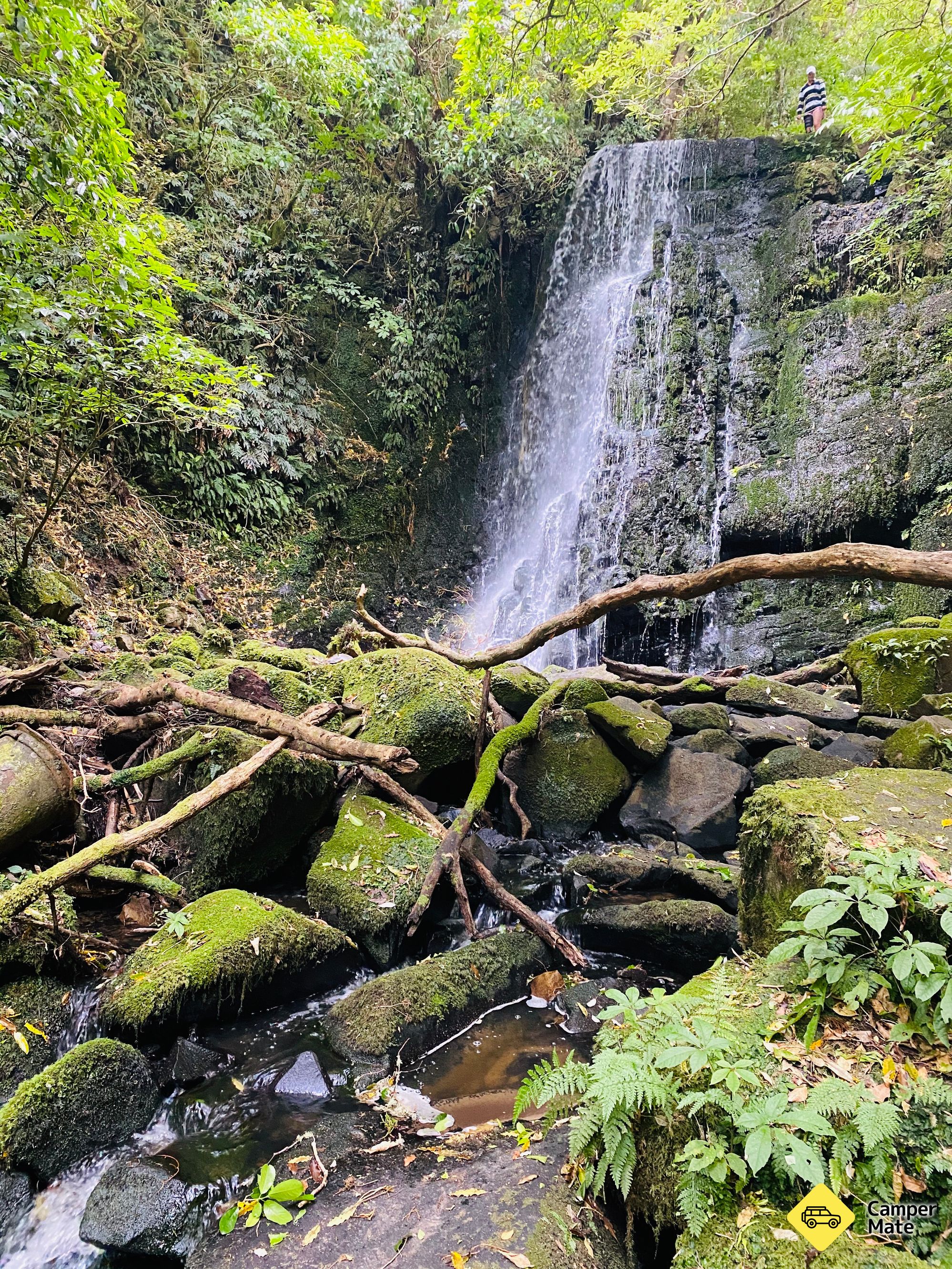 Matai and Horseshoe Falls - Image 3