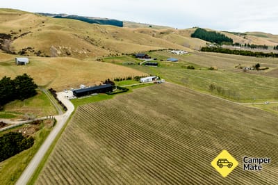 Black Estate Winery