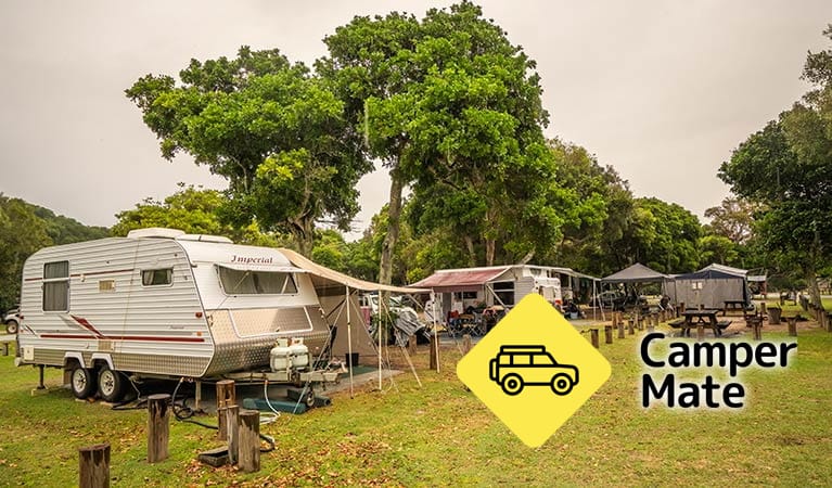Tinggal di Woody Head Campground - Image 3