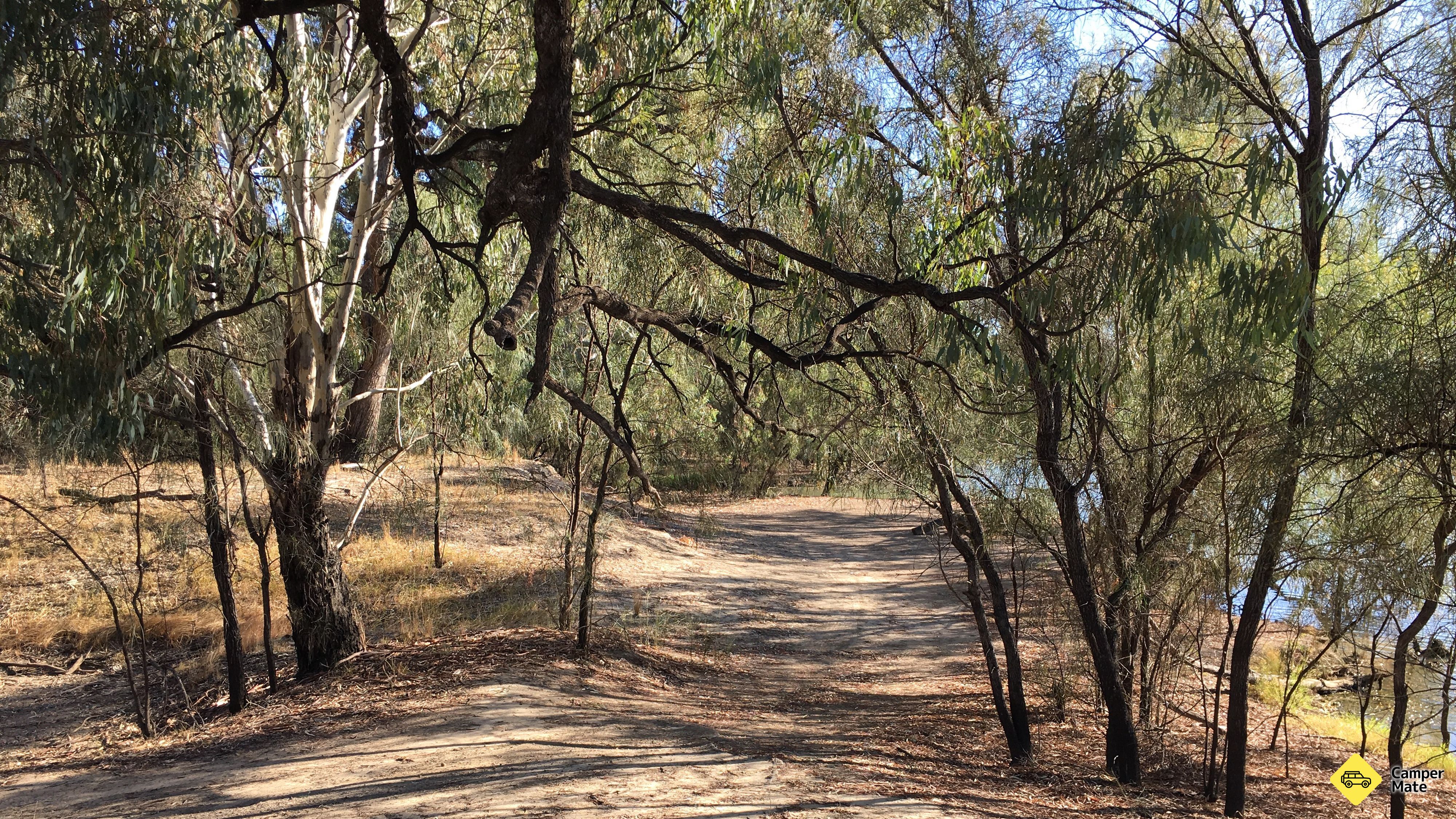Parque Regional de Euston (Foresta del Estado)