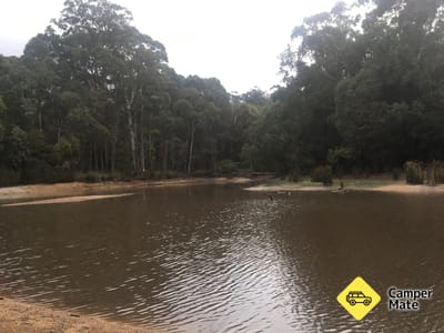 Firth Park Campground, Wombat State Forest