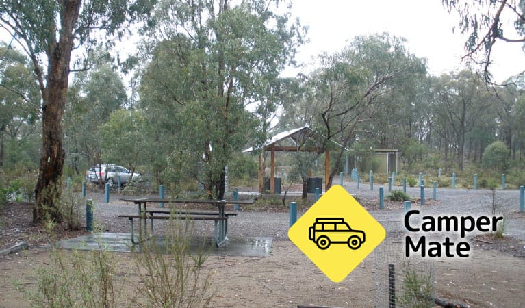 Bungonia Campground - Image 3