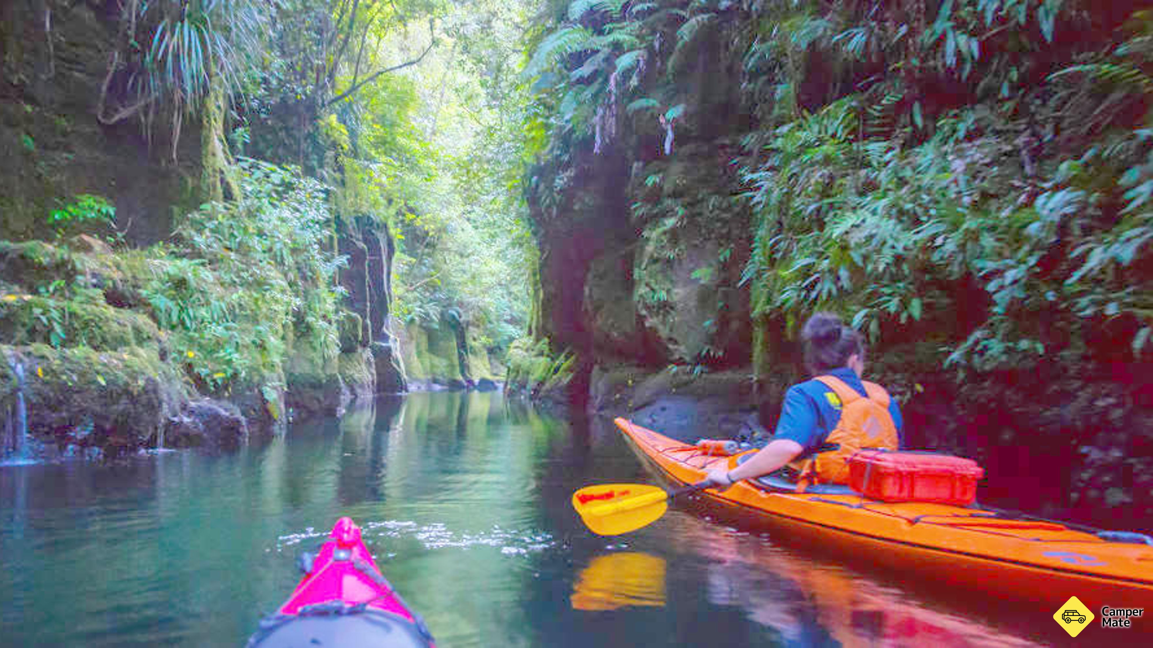 Scenic Lake Mclaren Kayak túra
