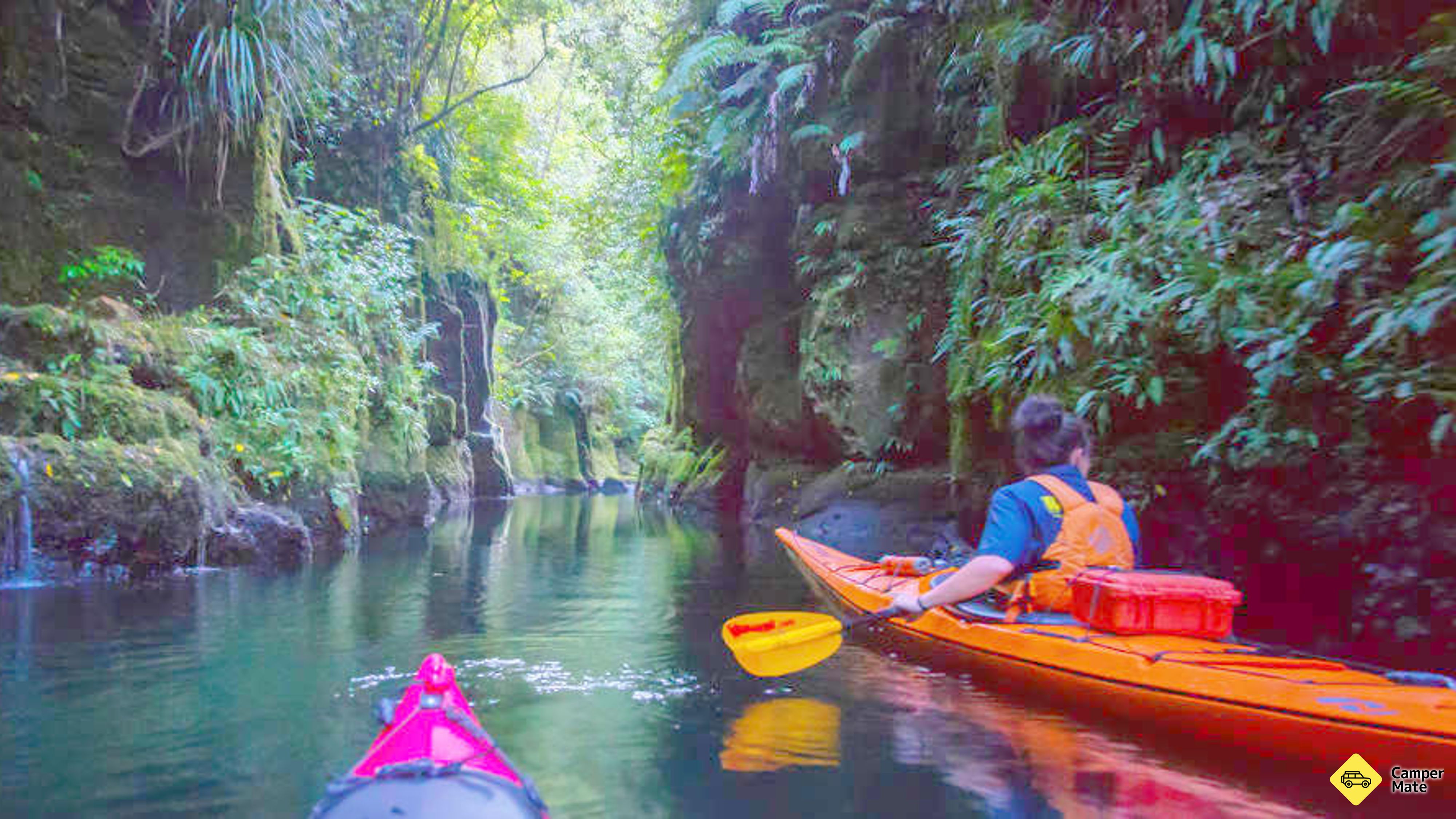 אגם מקלרן Lake Mclaren Kayak Tour