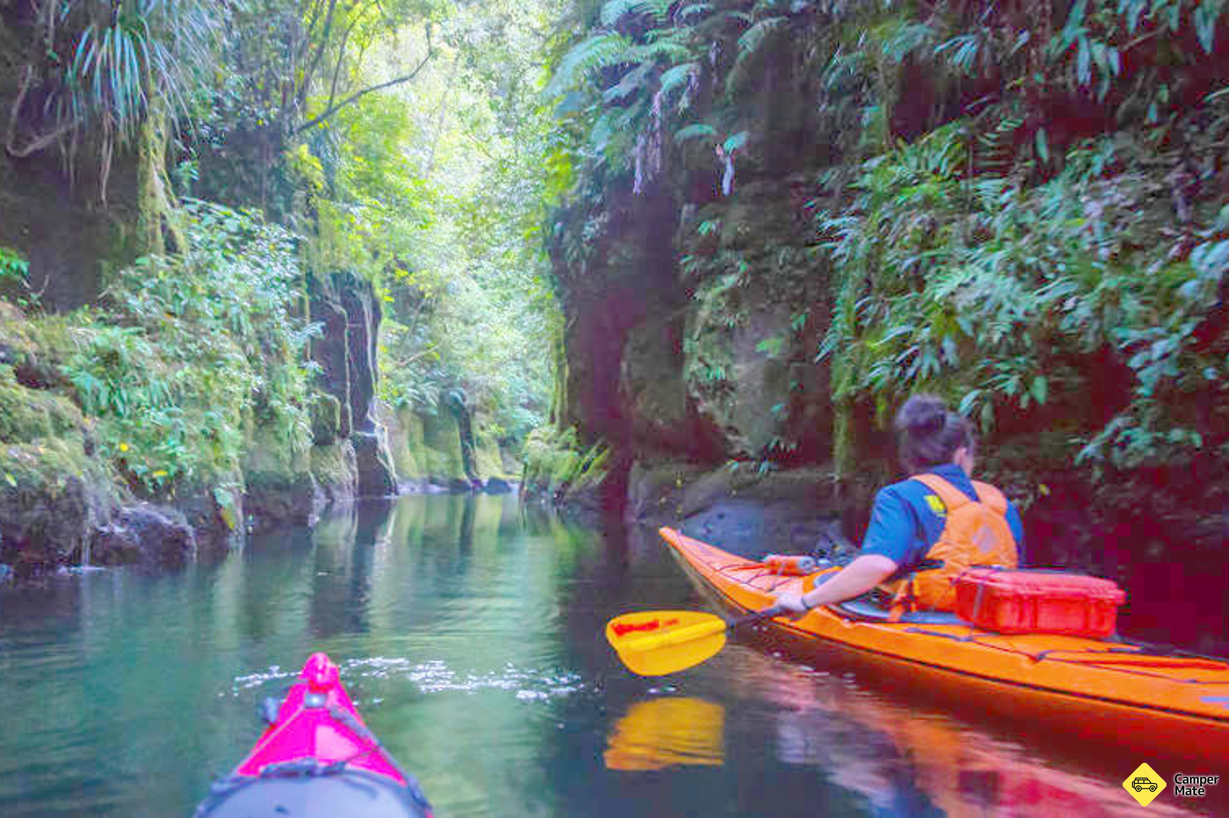 אגם מקלרן Lake Mclaren Kayak Tour