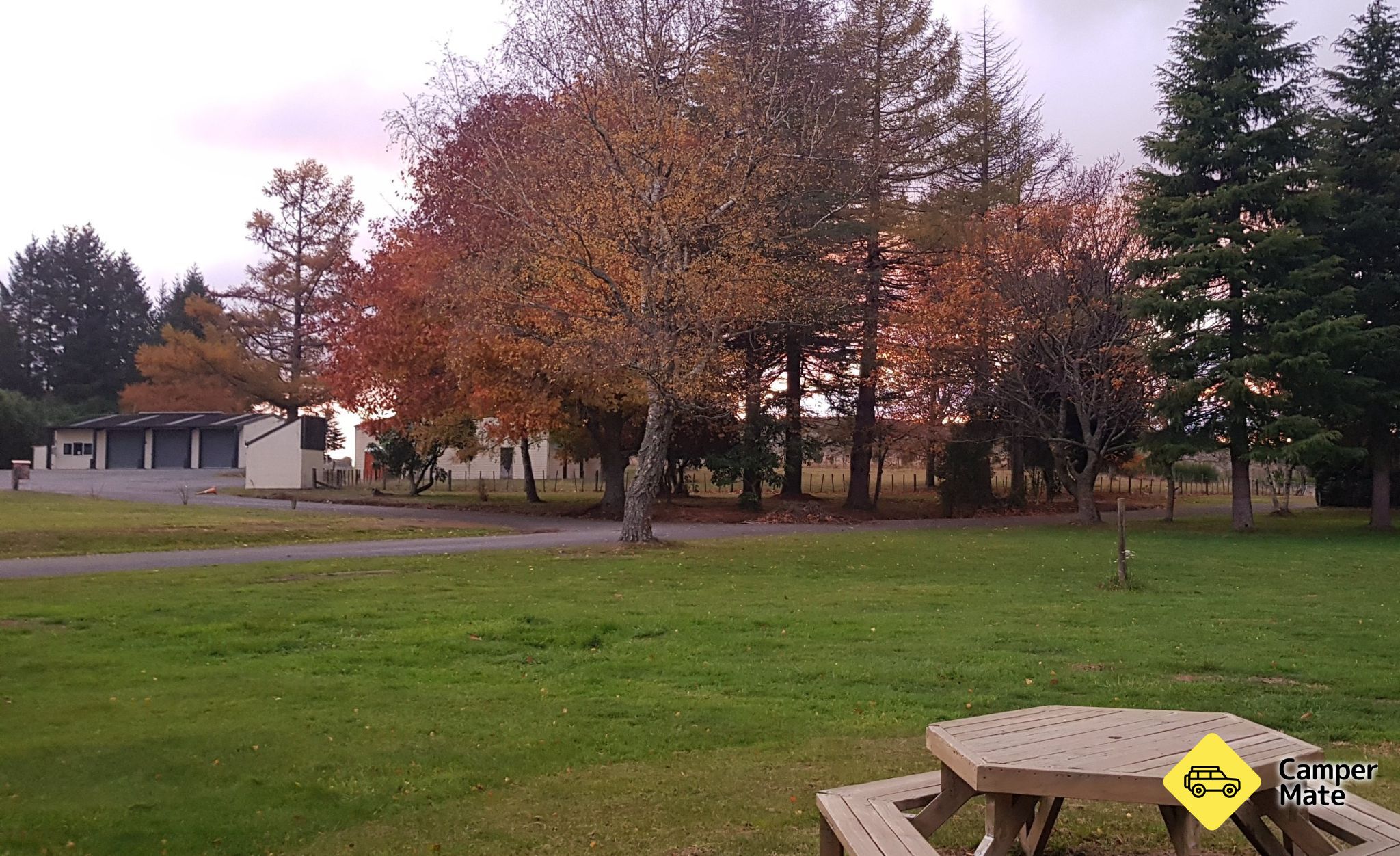 Te Pohue Camp Hawke's Bay - Image 3