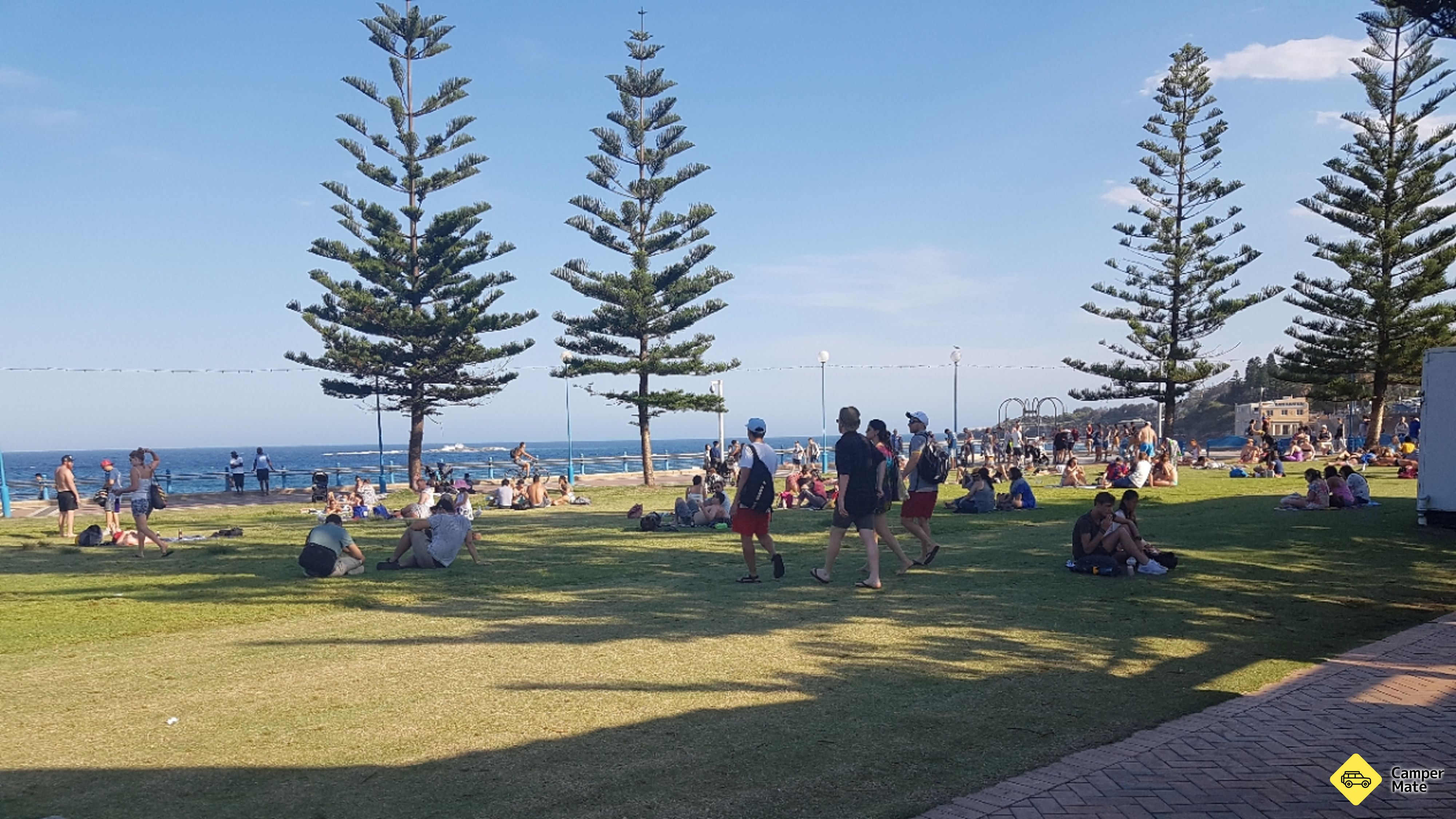 Coogee Plajı