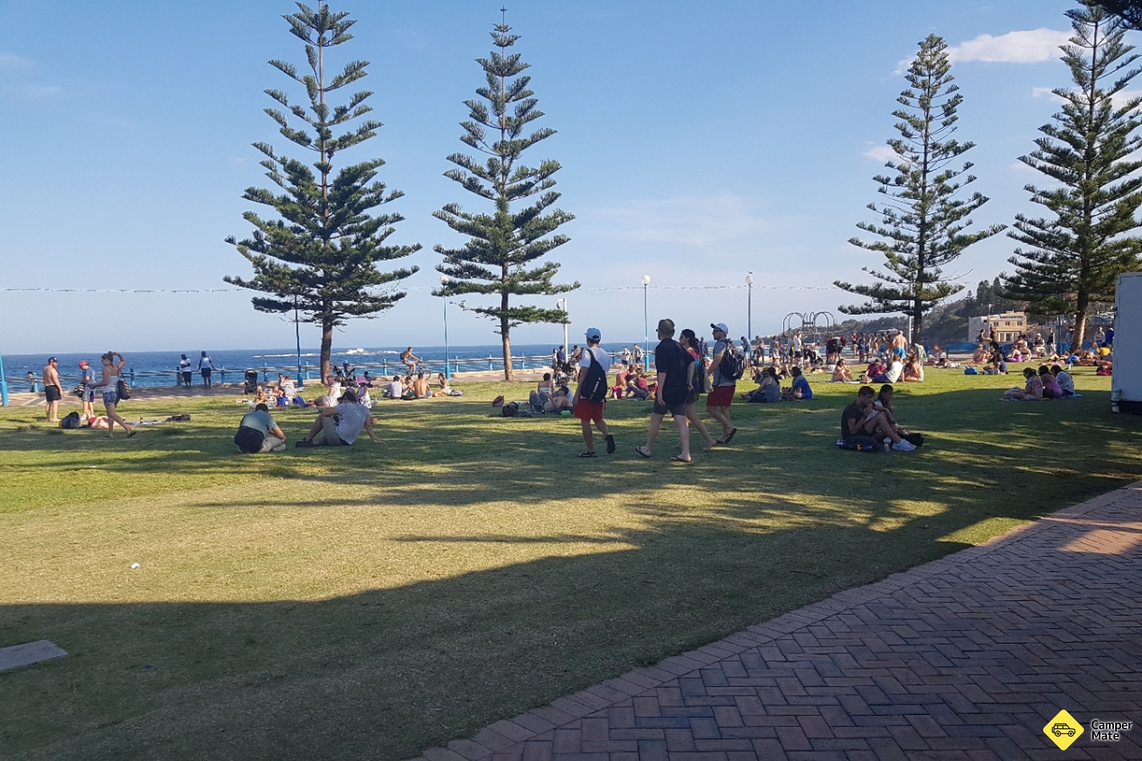 Coogee Plajı