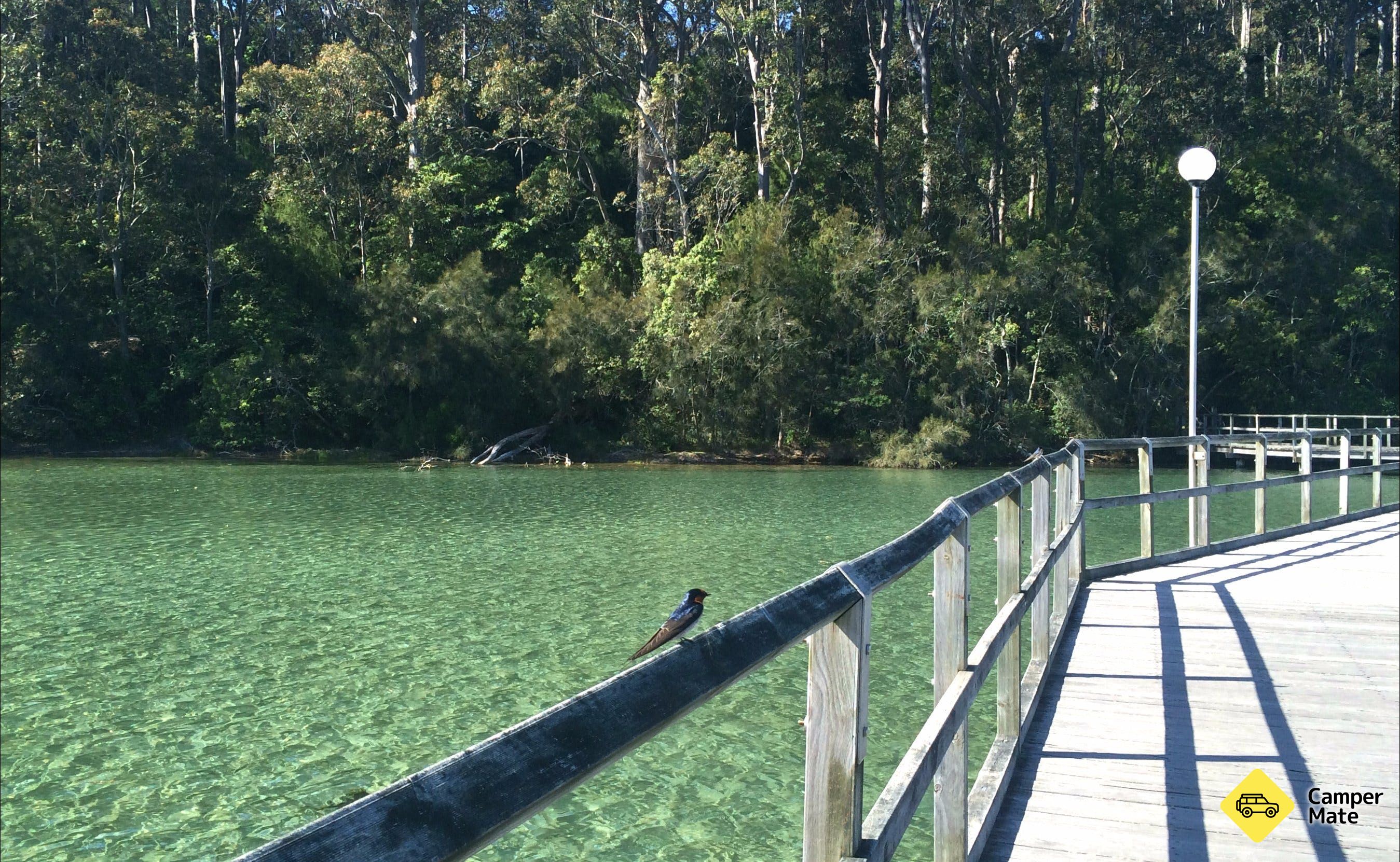 Mill Bay Boardwalk Narooma - Image 2