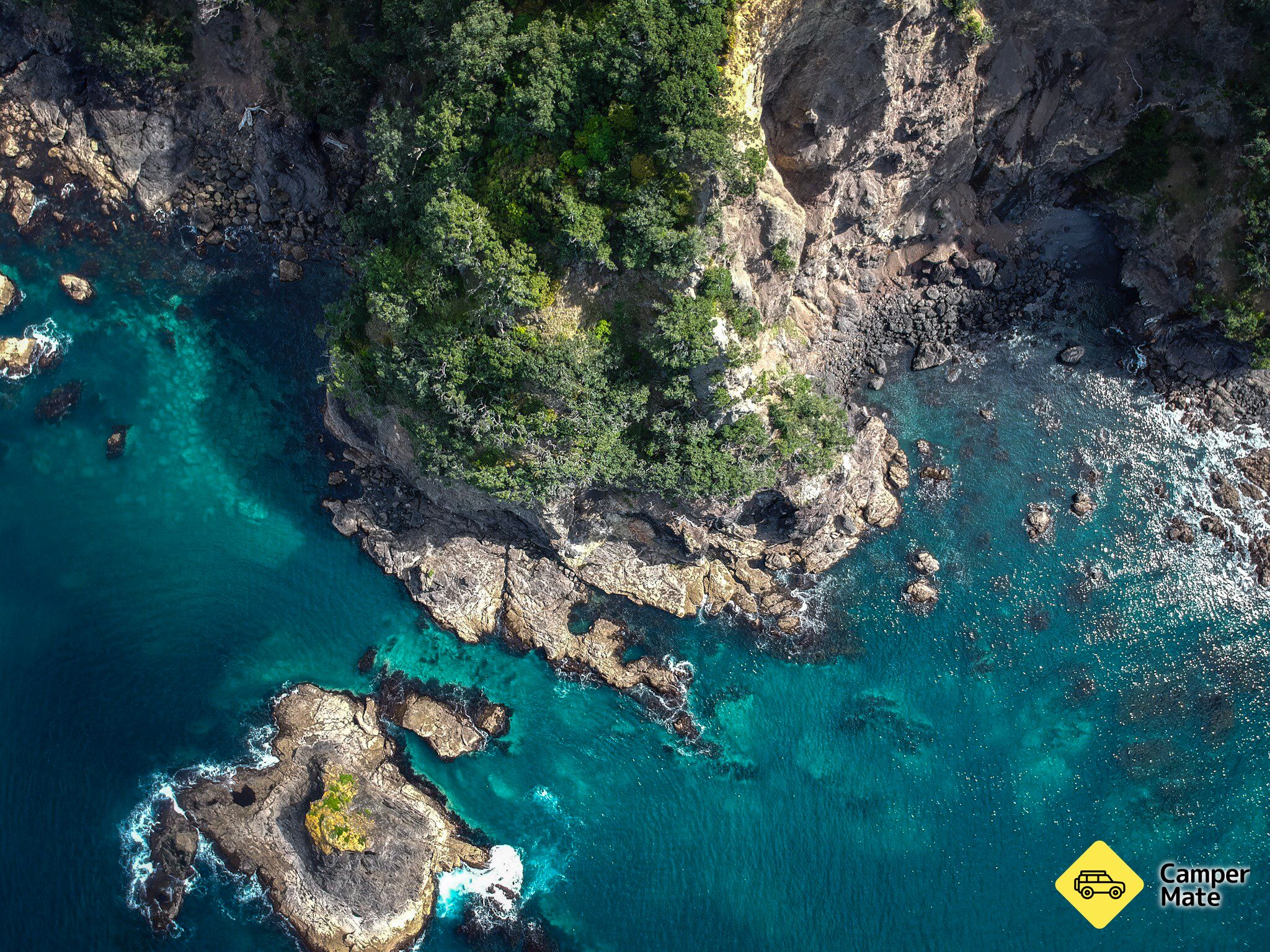 Coromandel Coastal Walkway Lookout - Image 3