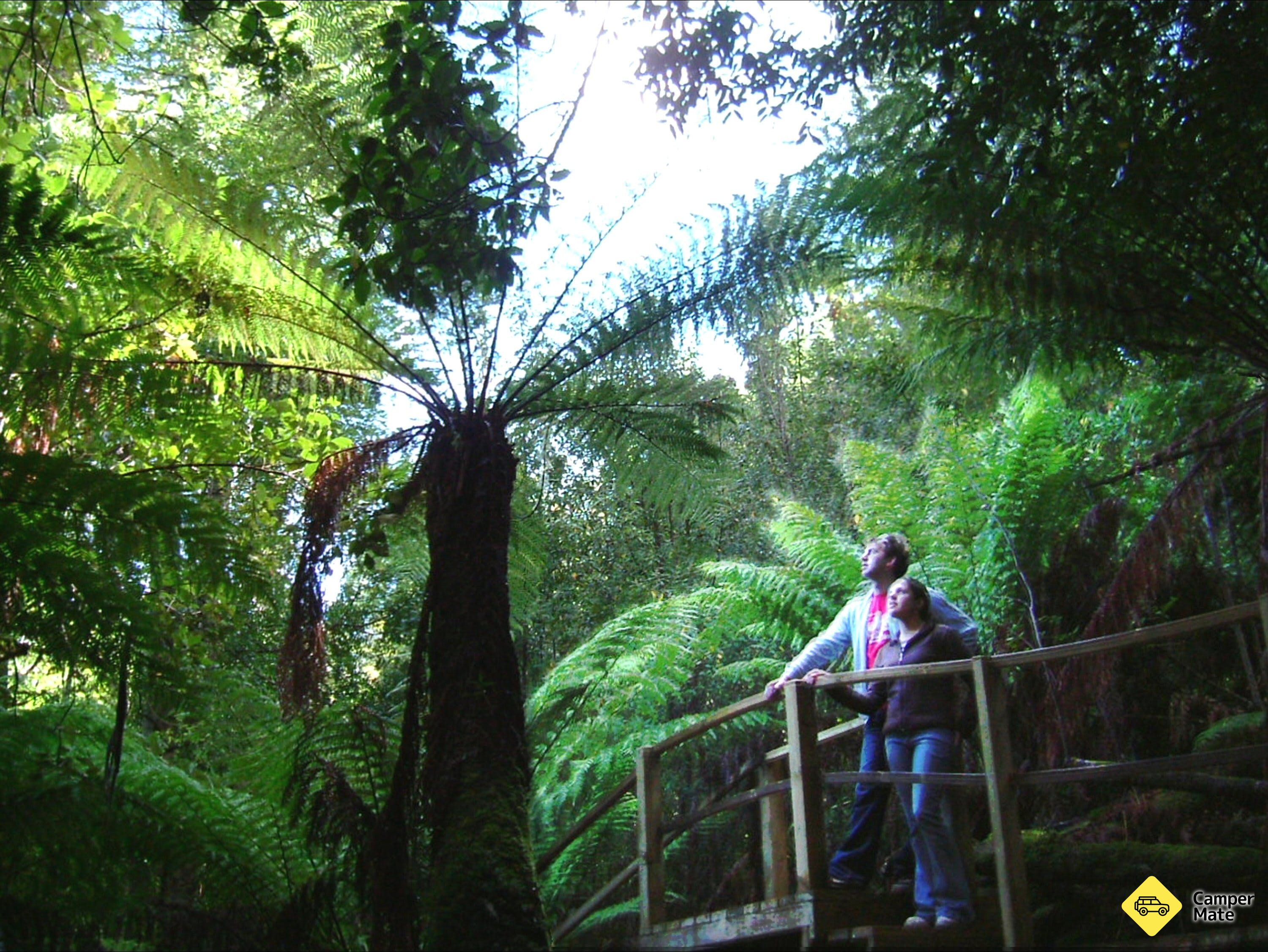 Mount Misery Walk - Image 3