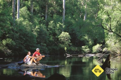 Warren River Loop Walk, Pemberton