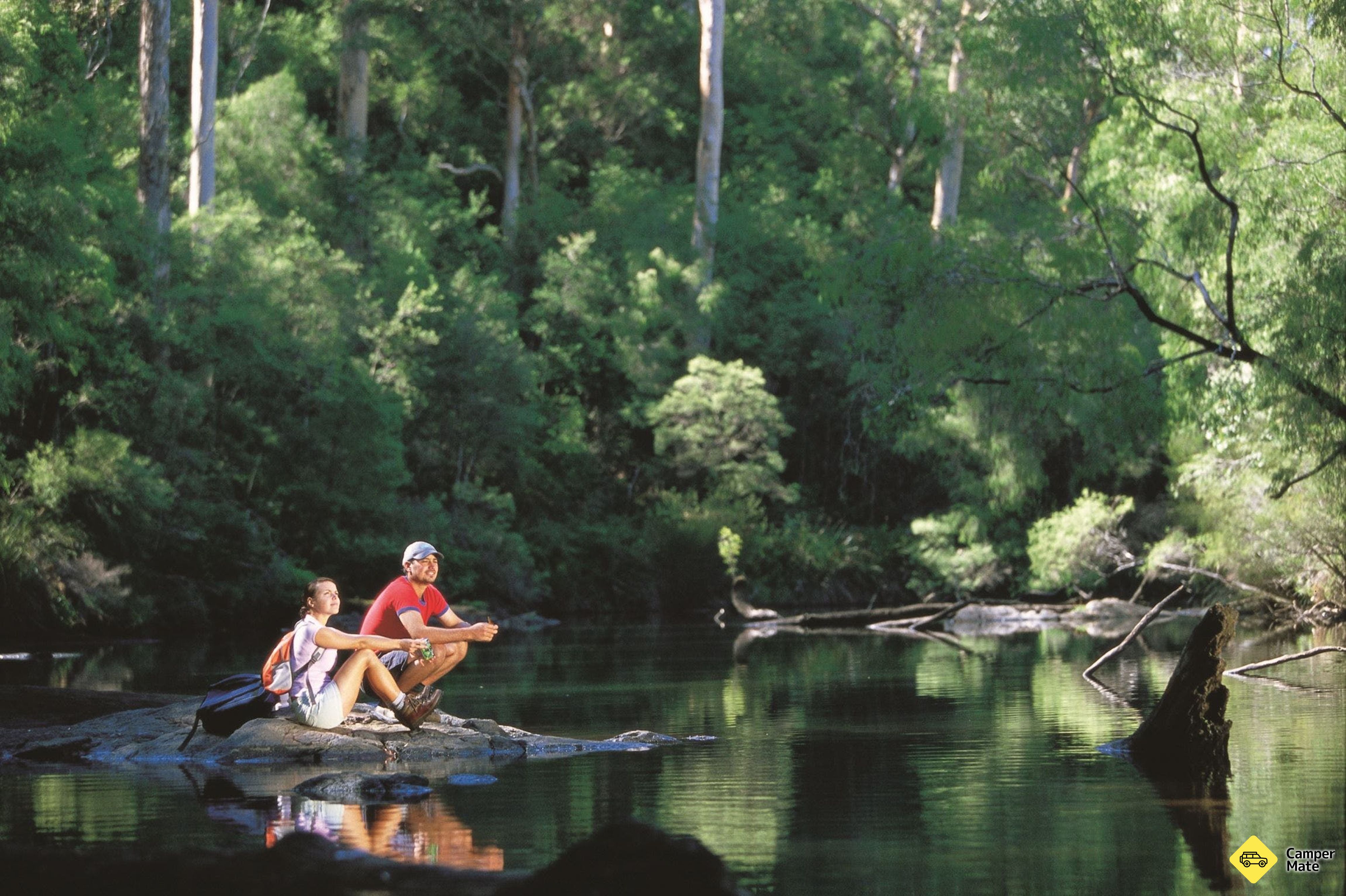 ウォーレン・リバー・ループ・ウォーク(Warren River Loop Walk) Pemberton