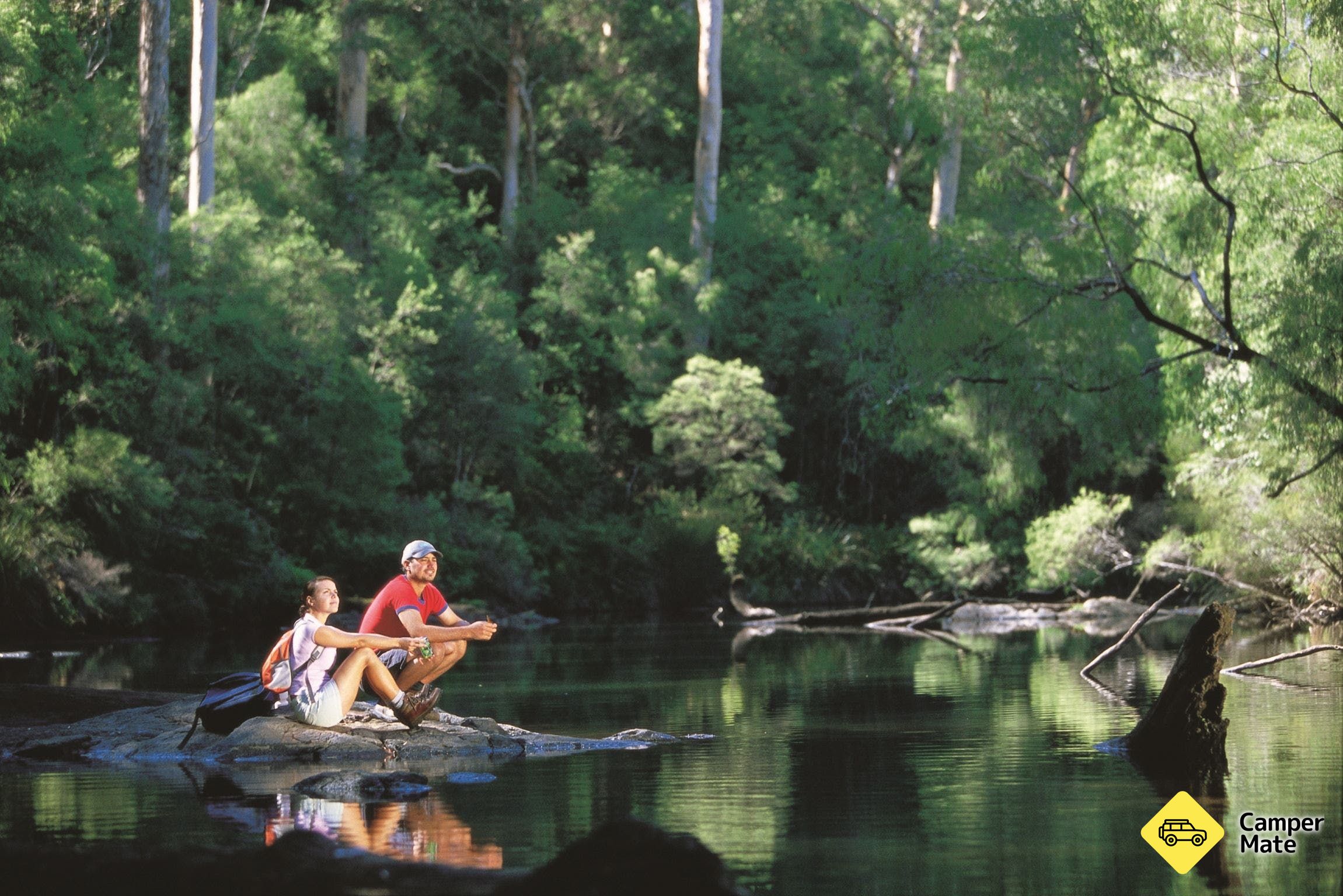Warren River Loop Walk, Pemberton