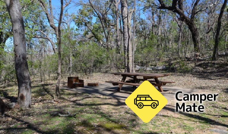 Horton Falls Campground - Image 3