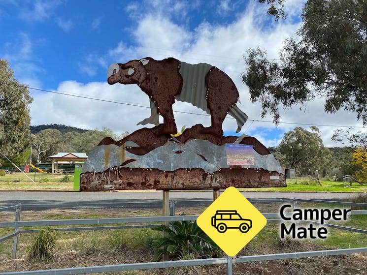 Tambar Springs Showground