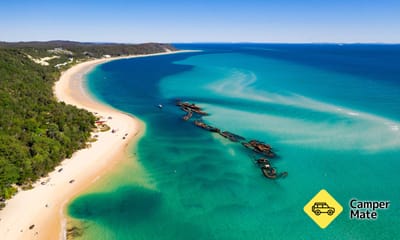 Moreton Island Wildlife and Wreck Snorkell Cruises