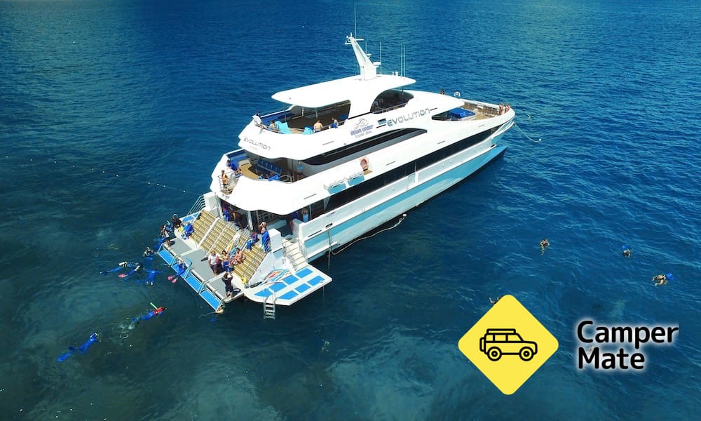 Great Barrier Reef Dive et Snorkel Cruise - Image 2