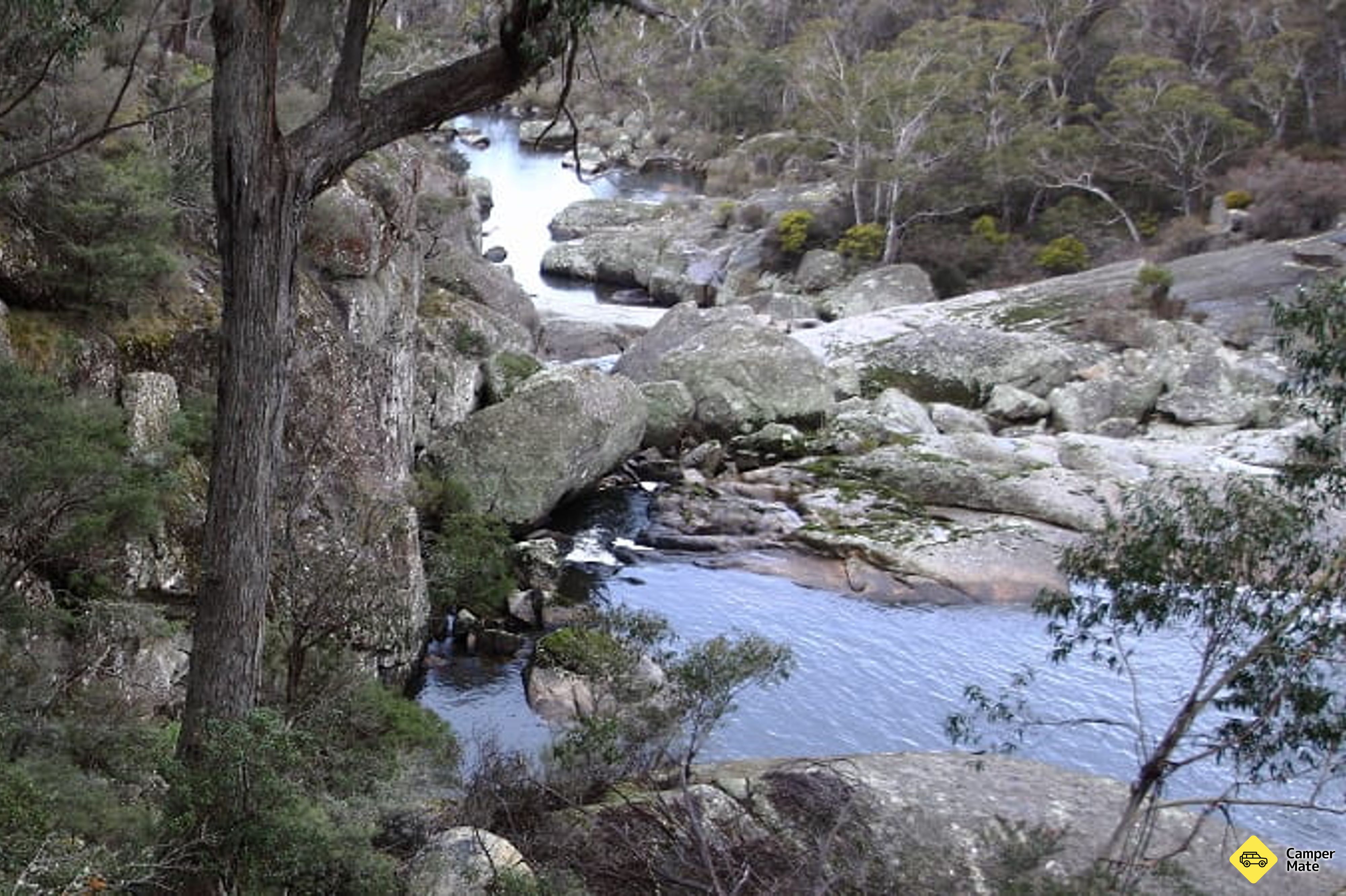 קמפוס Cascades