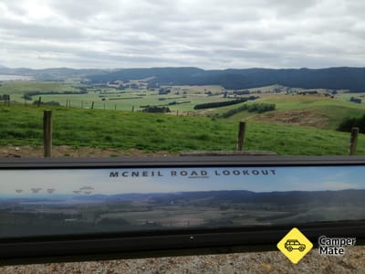 Whale Fossil Lookout