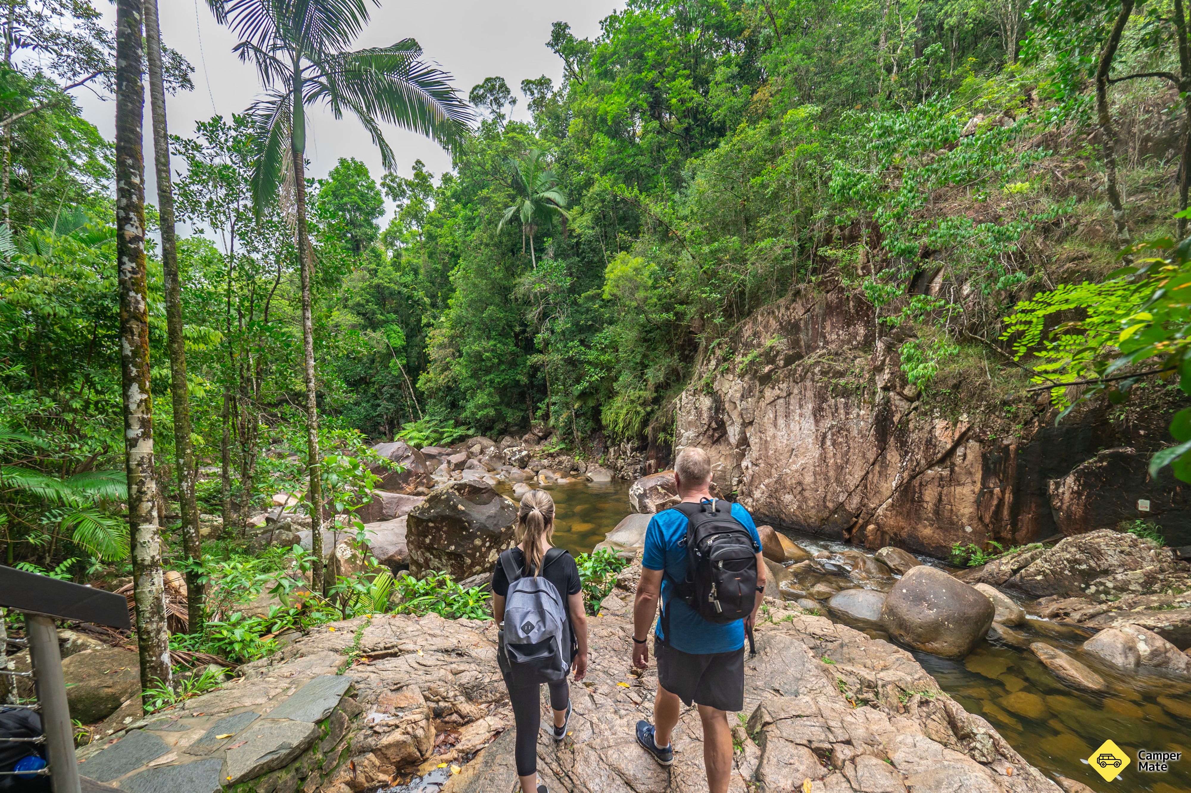 Finch Hatton Gorge Walk bezoeken - Image 3