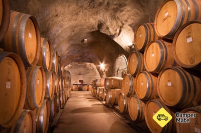 Activiteiten in de omgeving van Gibbston Valley Wine Cave