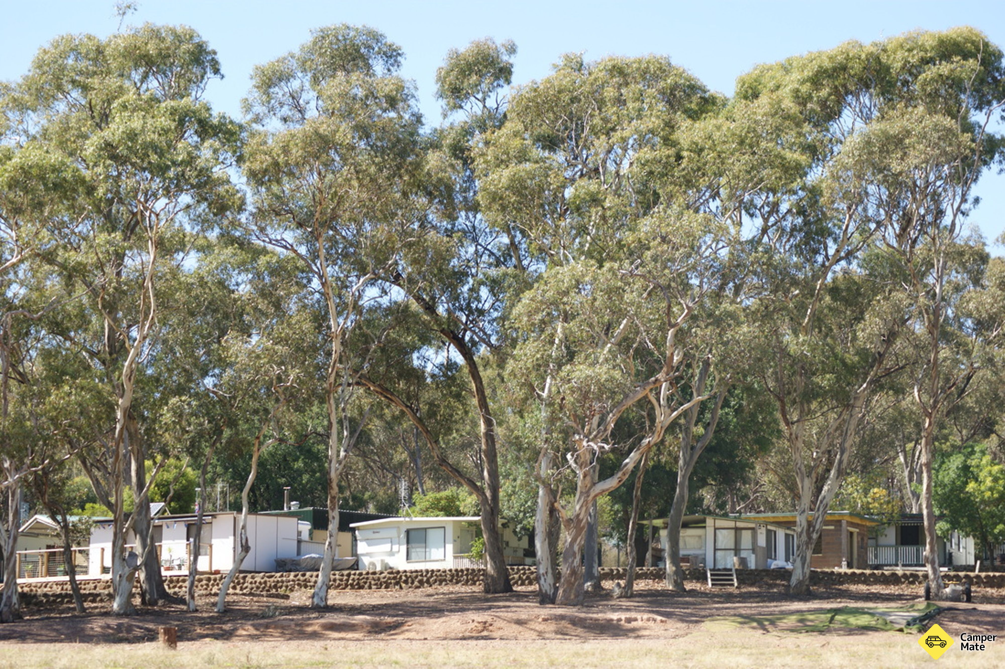 Welshman's Reef Caravan Park สวน