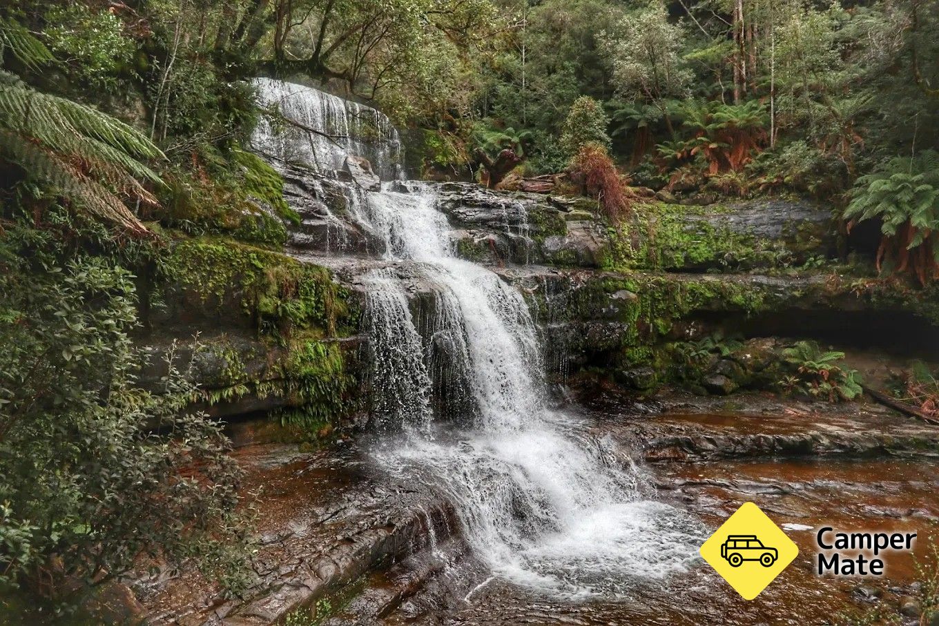 Lower Liffey Reserve - Image 3