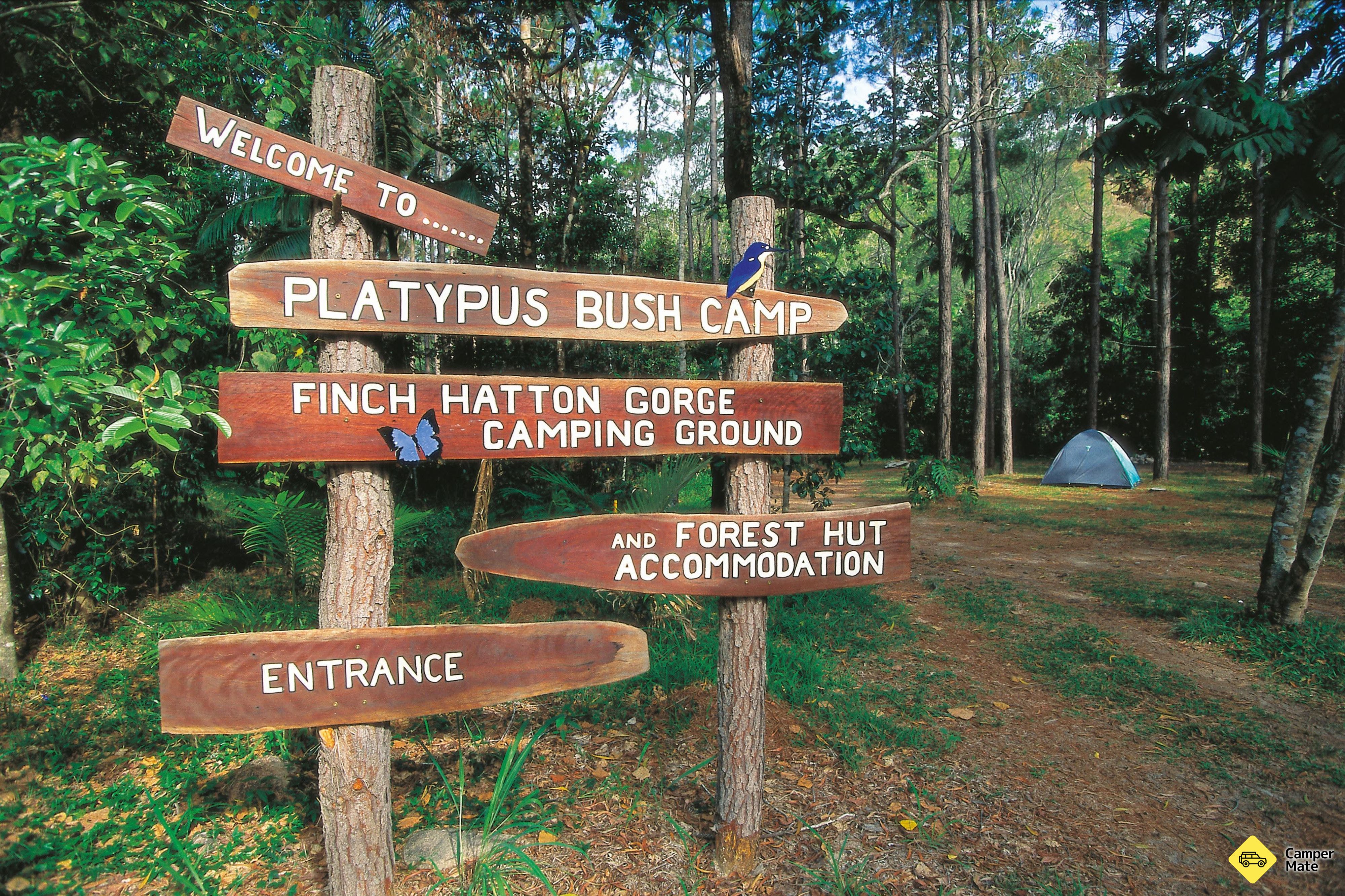 Finch Hatton Gorge Walk bezoeken - Image 2