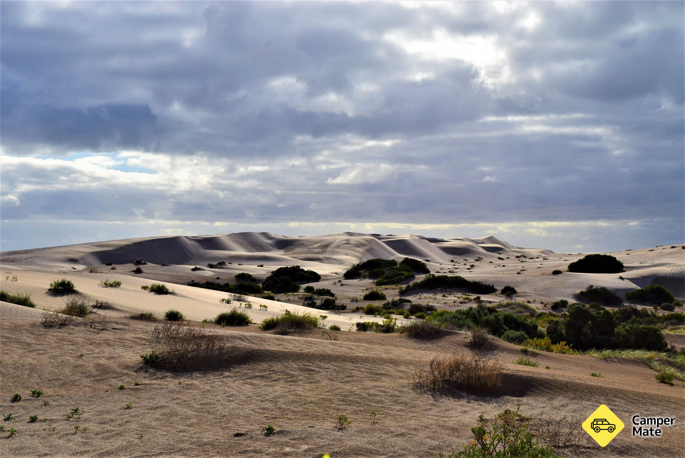 Cactus Beach Campsite - Image 2