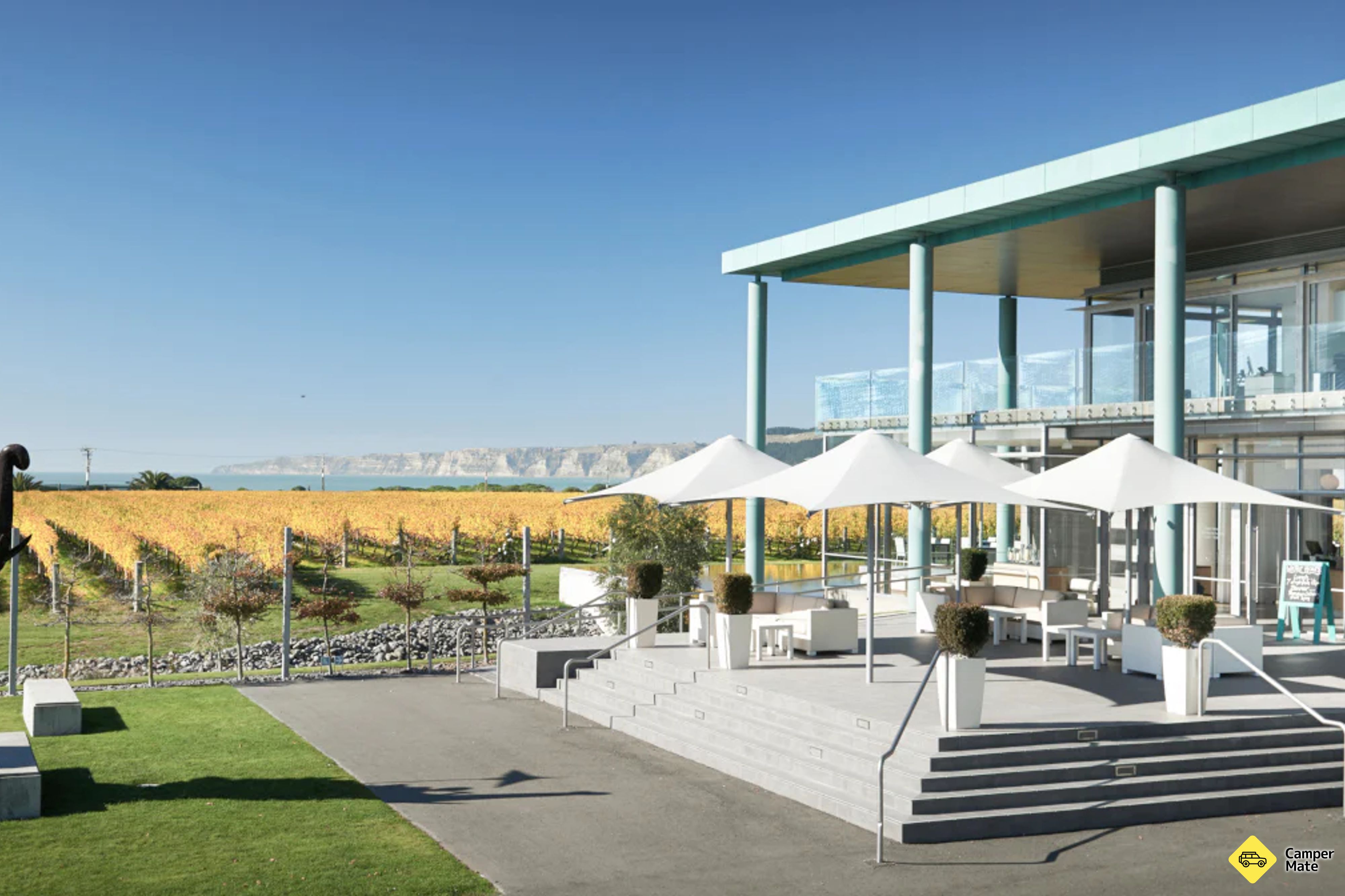 Elephant Hill Winery - Image 3