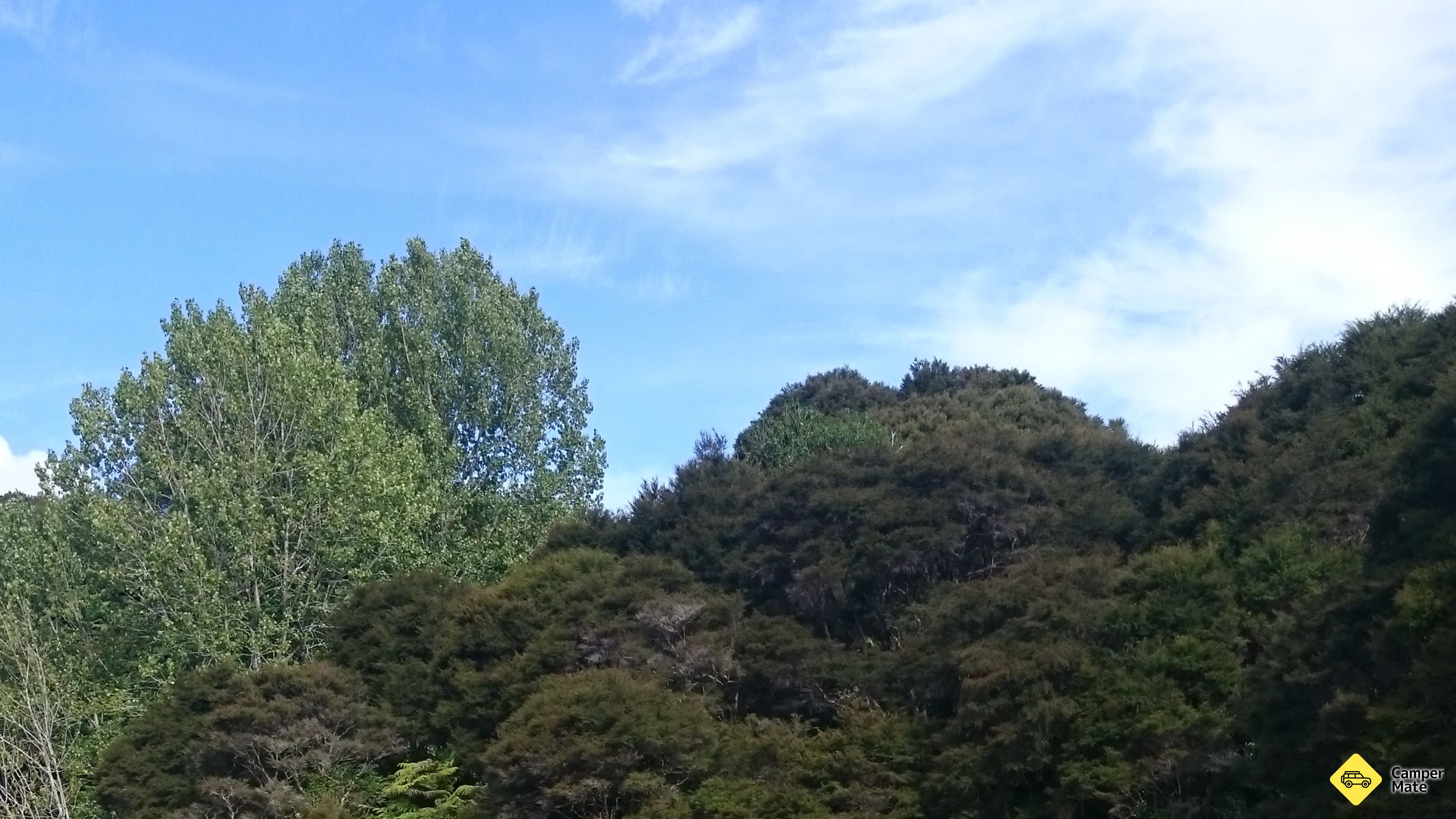 Kahikatea Campsite