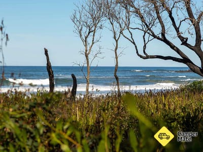 Banksia Bluff Cape Conran National Park