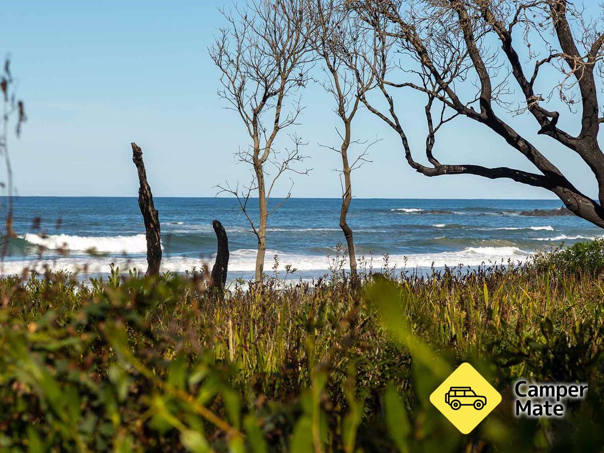 Banksia Bluff Cape Conran National Park