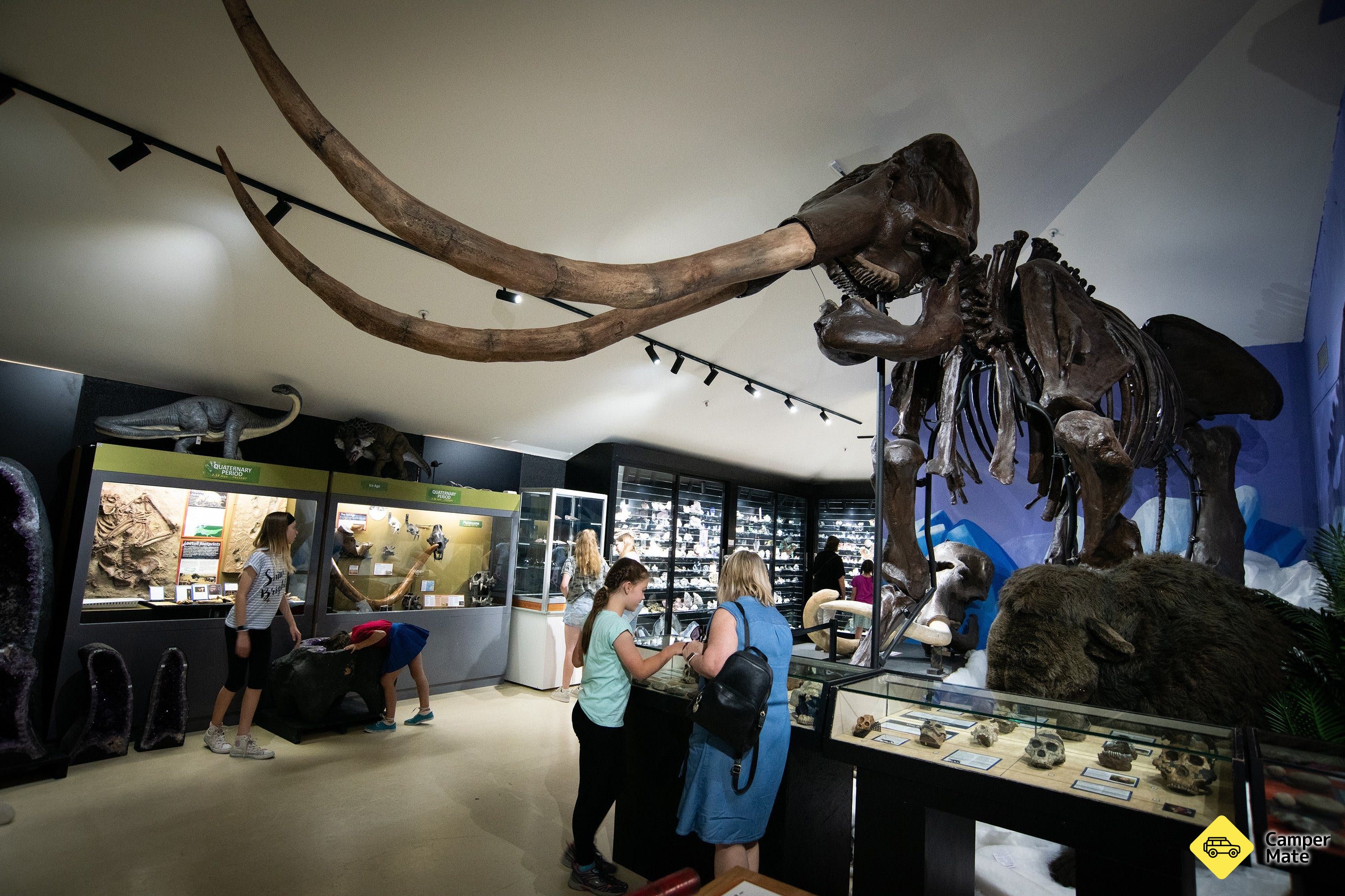 Musée national des dinosaures - Image 3