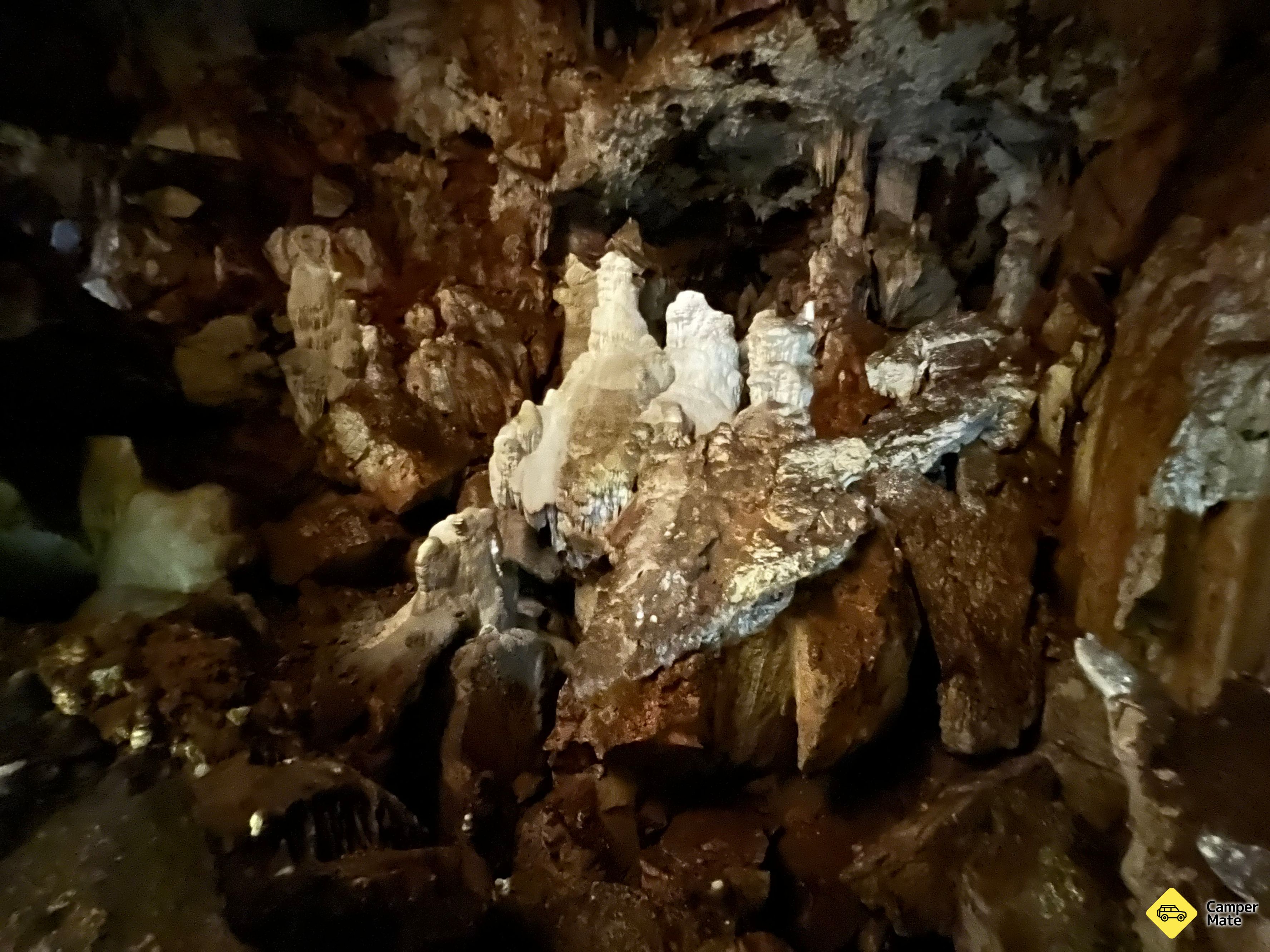 Wombeyan Caves Campground