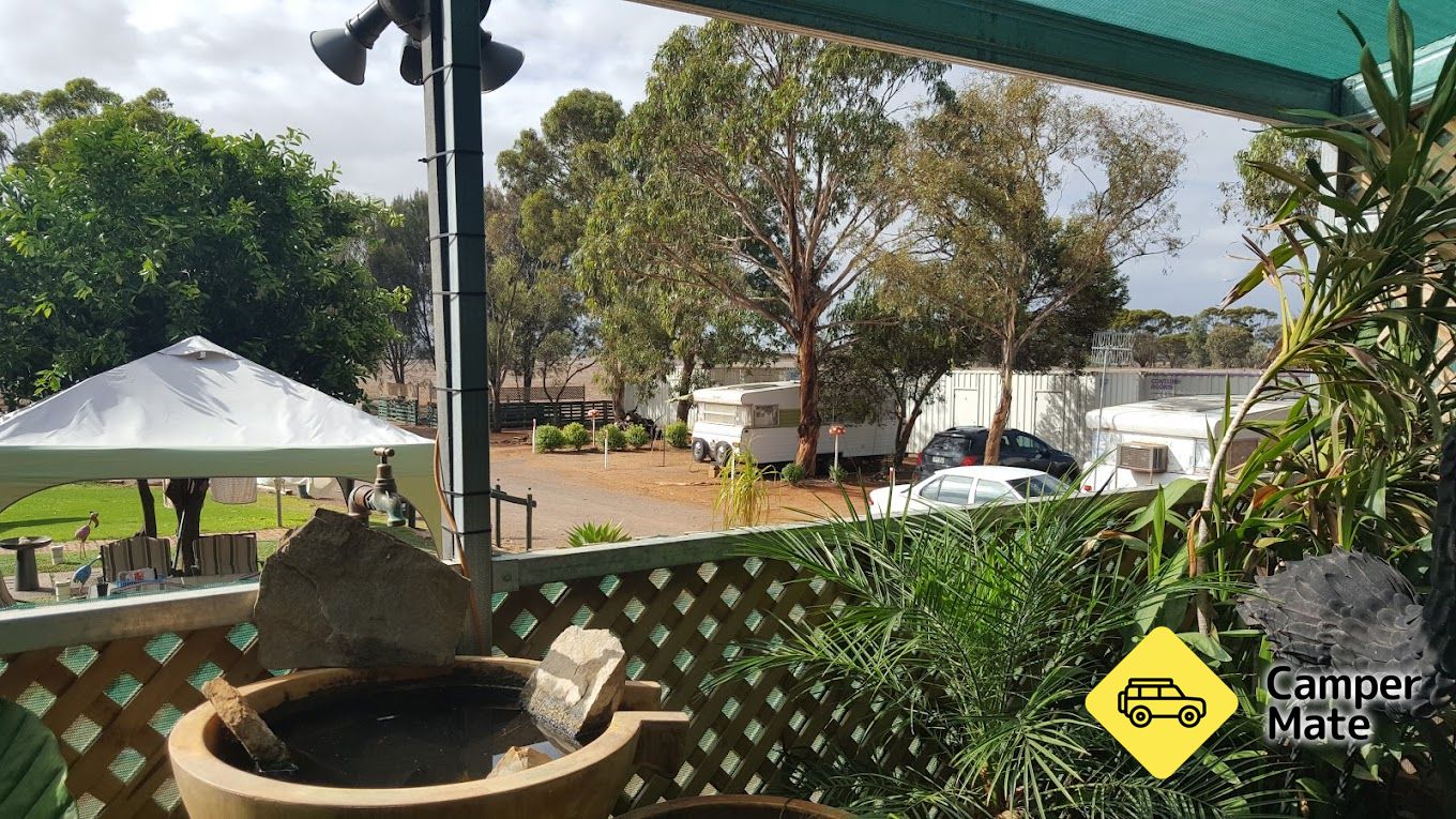 Cleve Birdseye Roadhouse